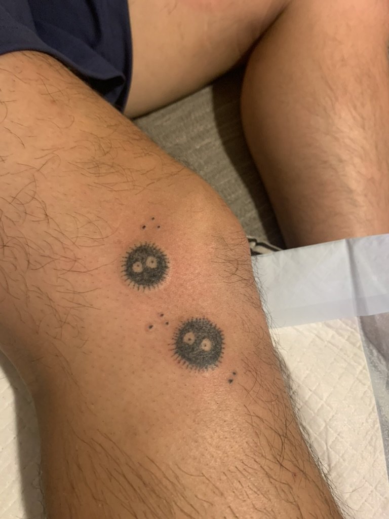 E3752F33-922A-4063-AB2E-9D628386318F_1_105_c.jpeg