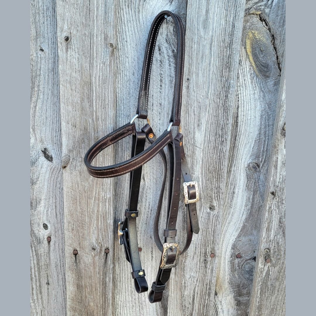 Headstall Ring3.jpg