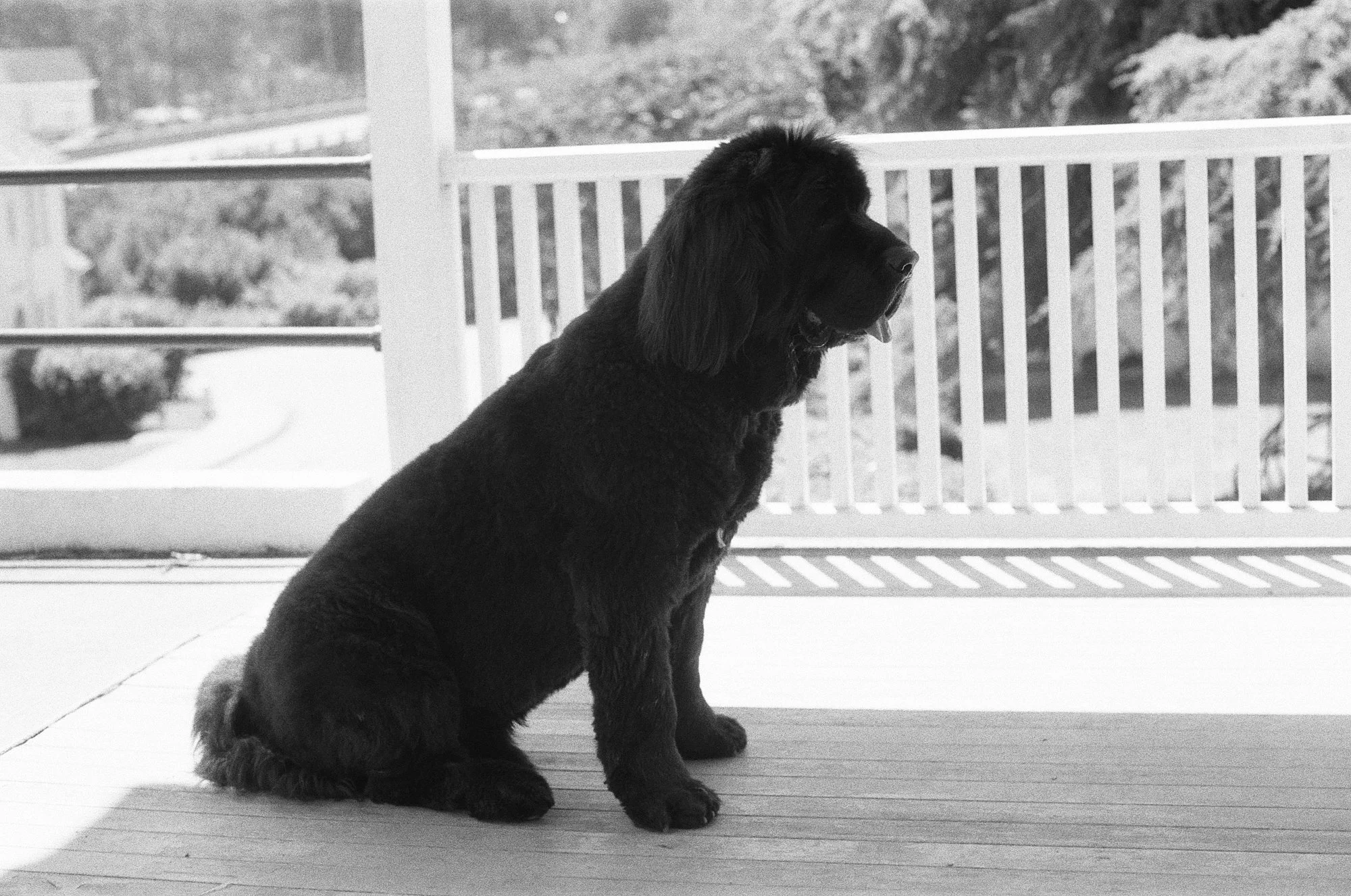 047_kentmere_400_bw_20556_147746_329822_000093500008.jpg