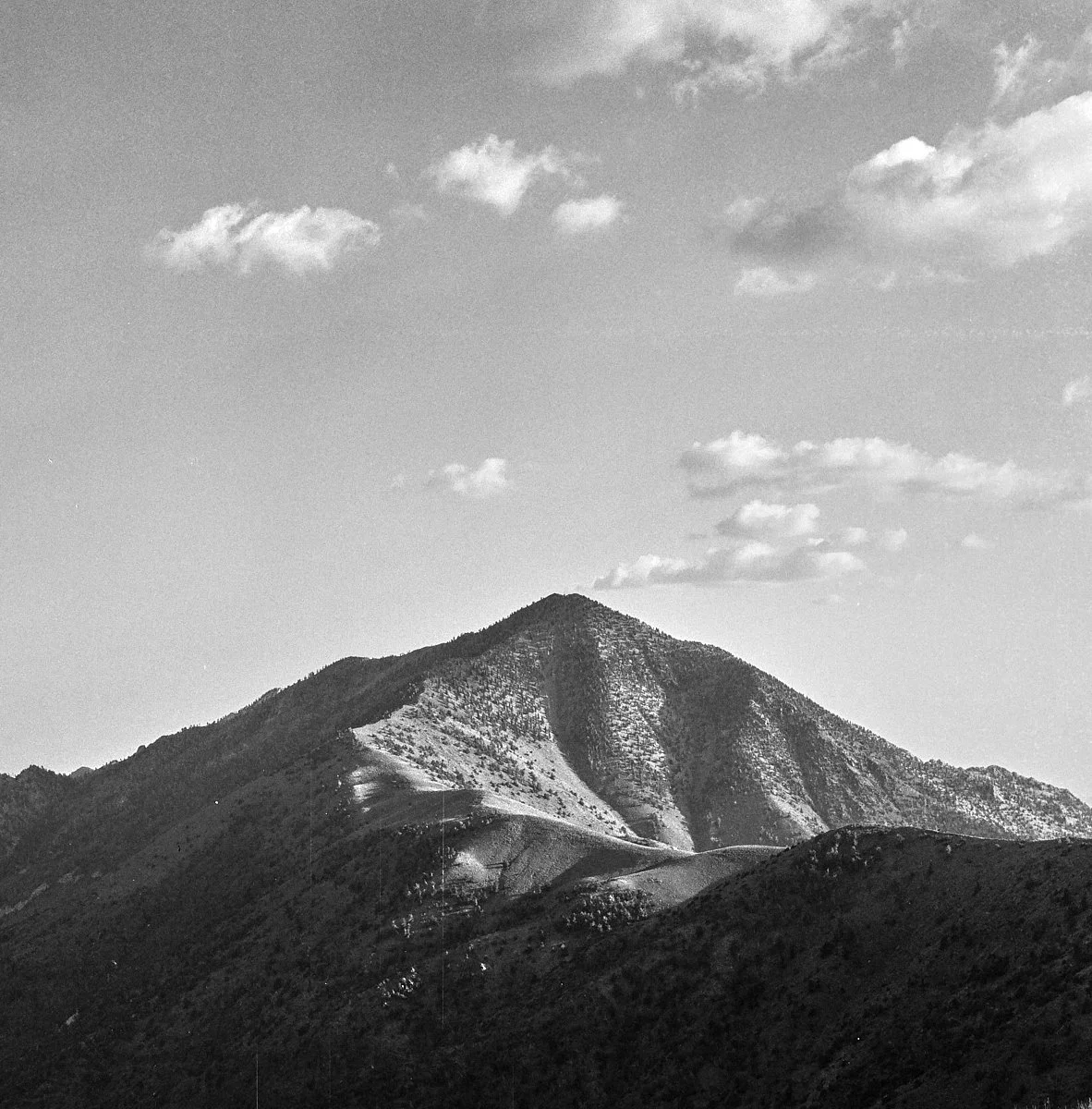 ilford_hp5_plus_07_29_2024_000115370012.jpg