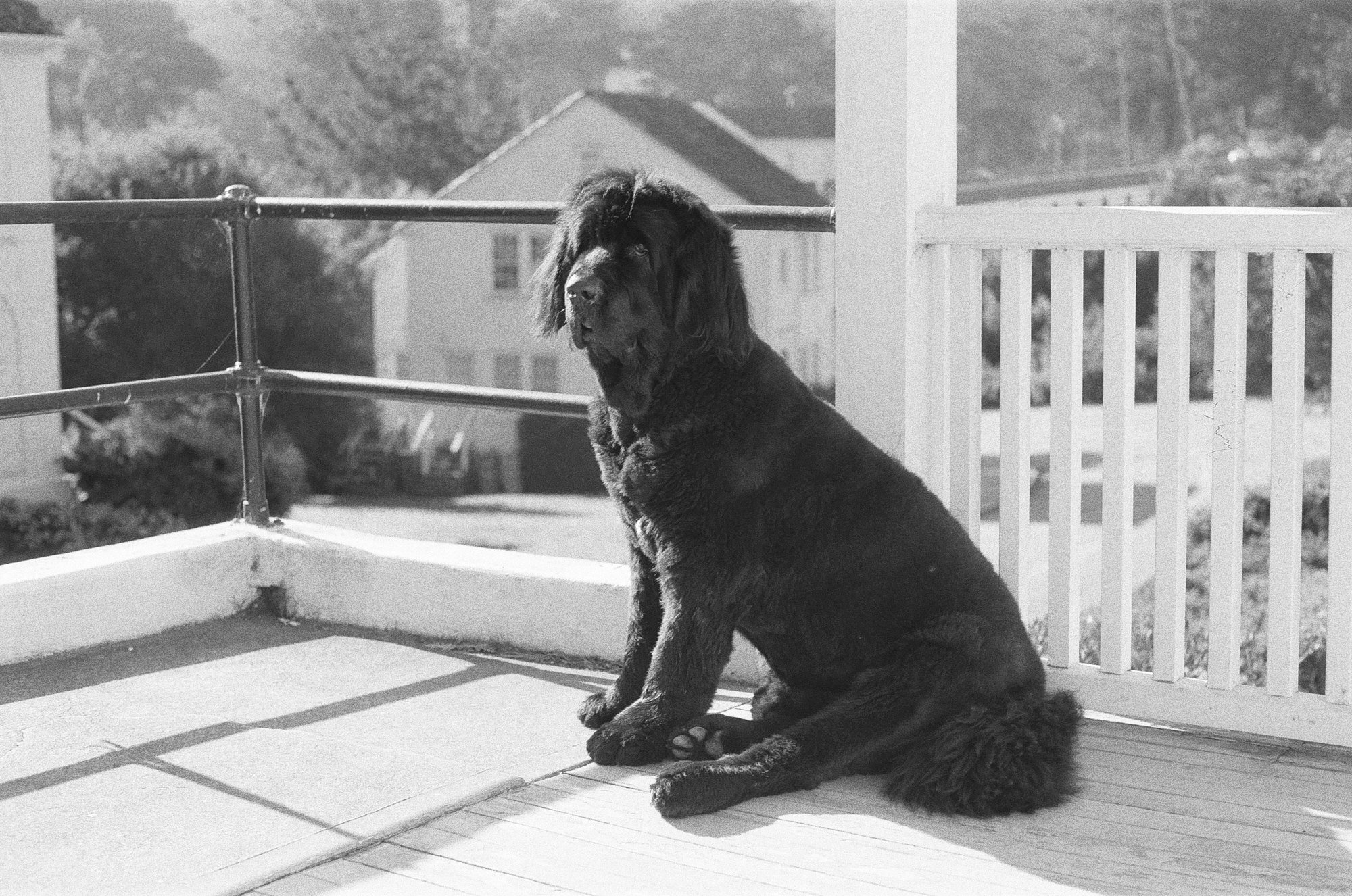 047_kentmere_400_bw_20556_147746_329822_000093500035.jpg
