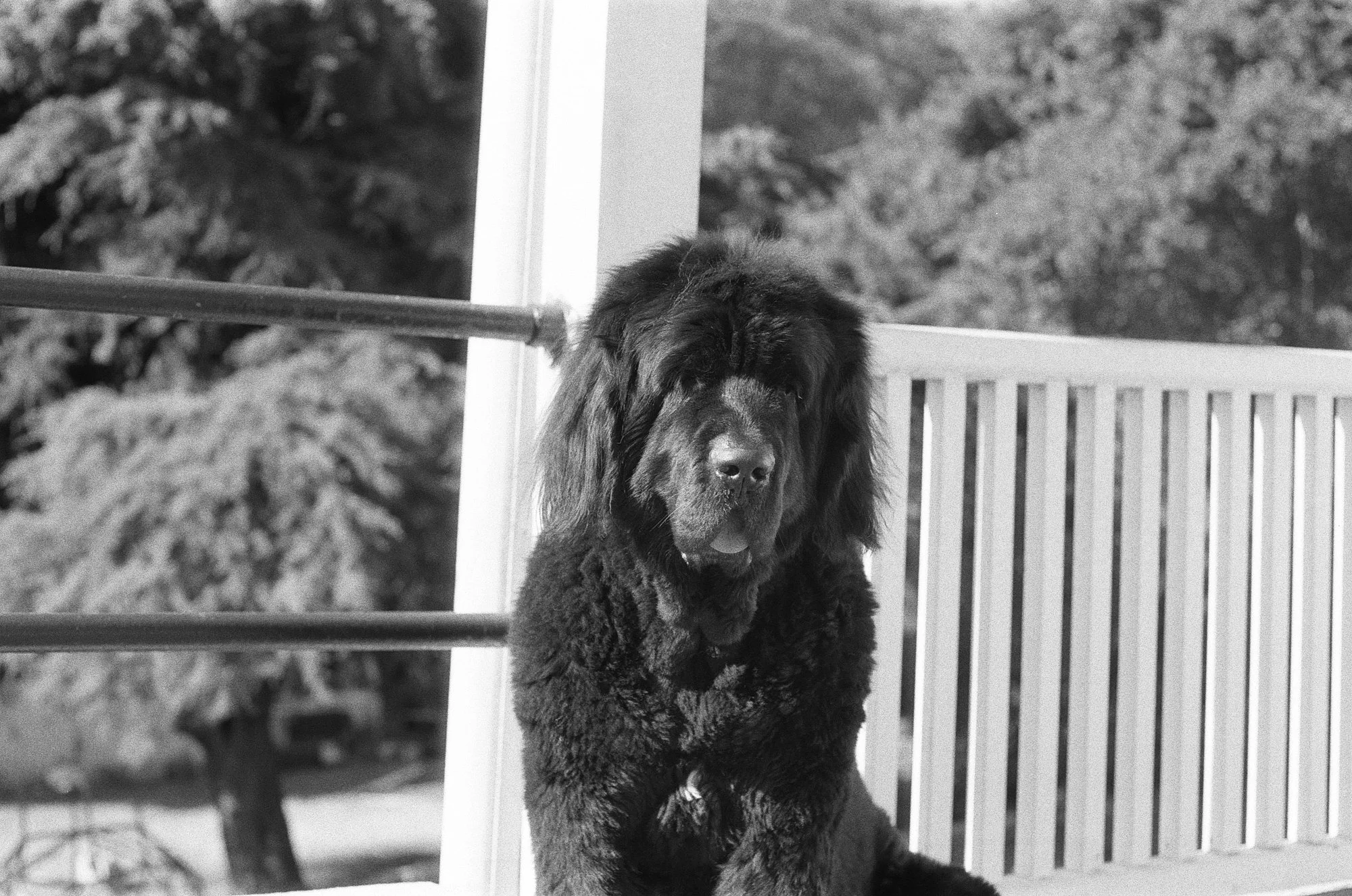 047_kentmere_400_bw_20556_147746_329822_000093500032.jpg