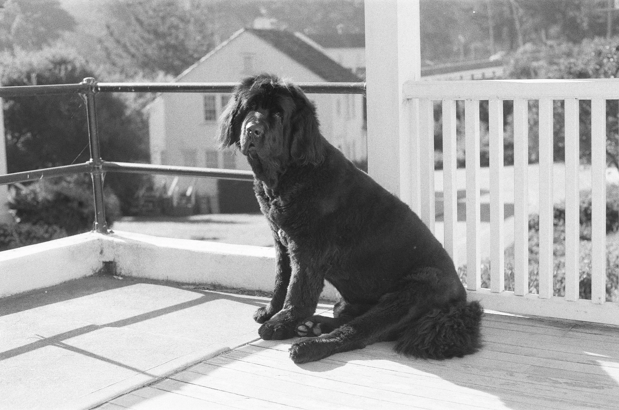 047_kentmere_400_bw_20556_147746_329822_000093500036.jpg