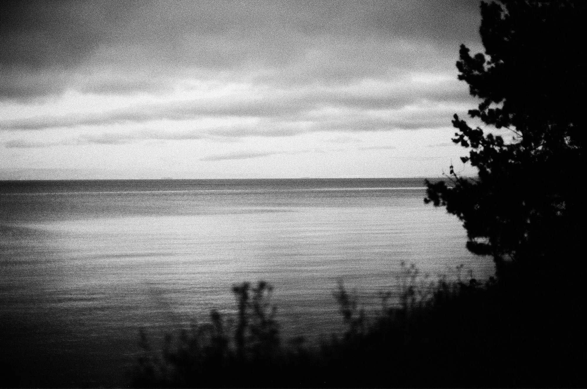 ilford_hp5_plus_09_17_2024_000369030016.jpg