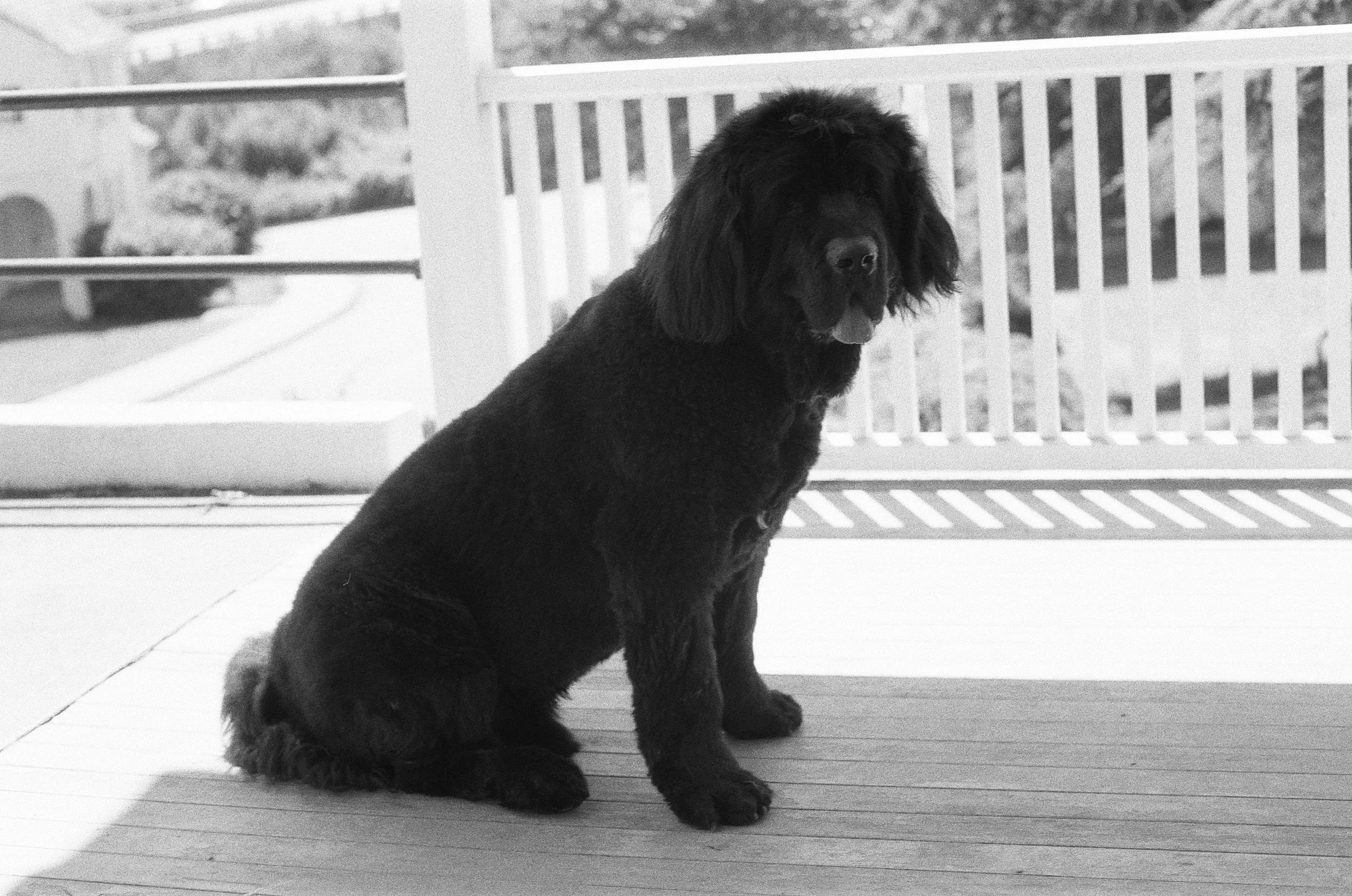 047_kentmere_400_bw_20556_147746_329822_000093500009.jpg