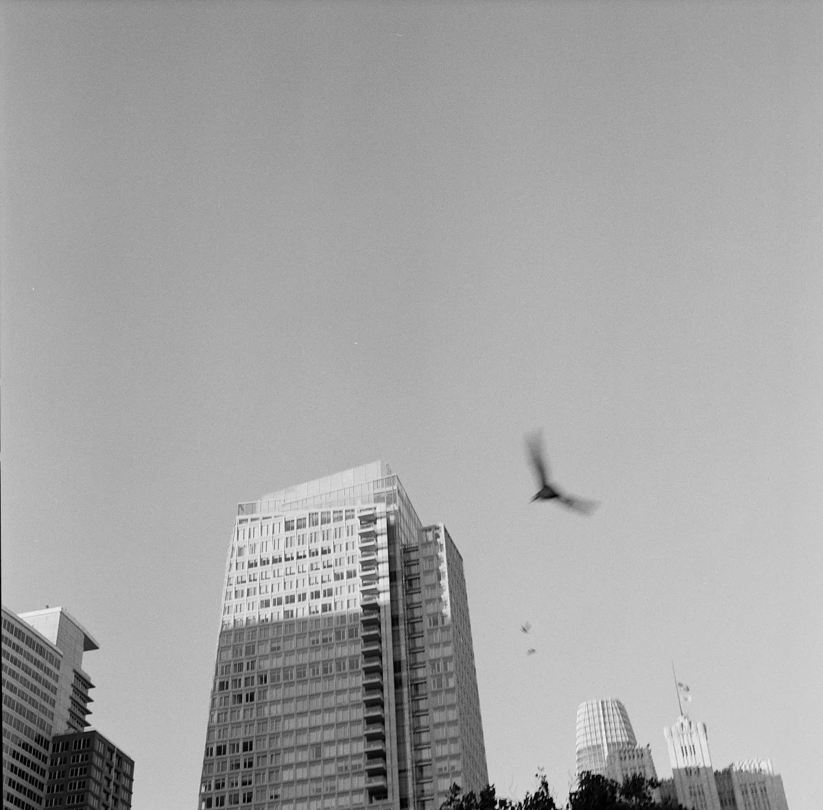 ilford_400_bw_20556_107467_242297_002432300011.jpg
