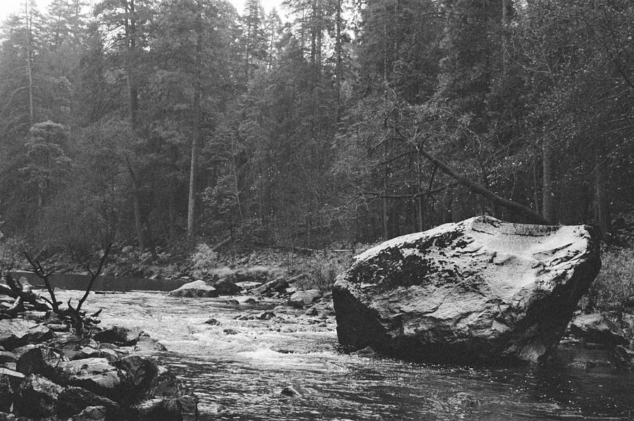 020_ilford_delta_400_professional_11_21_2024_000186280001.jpg