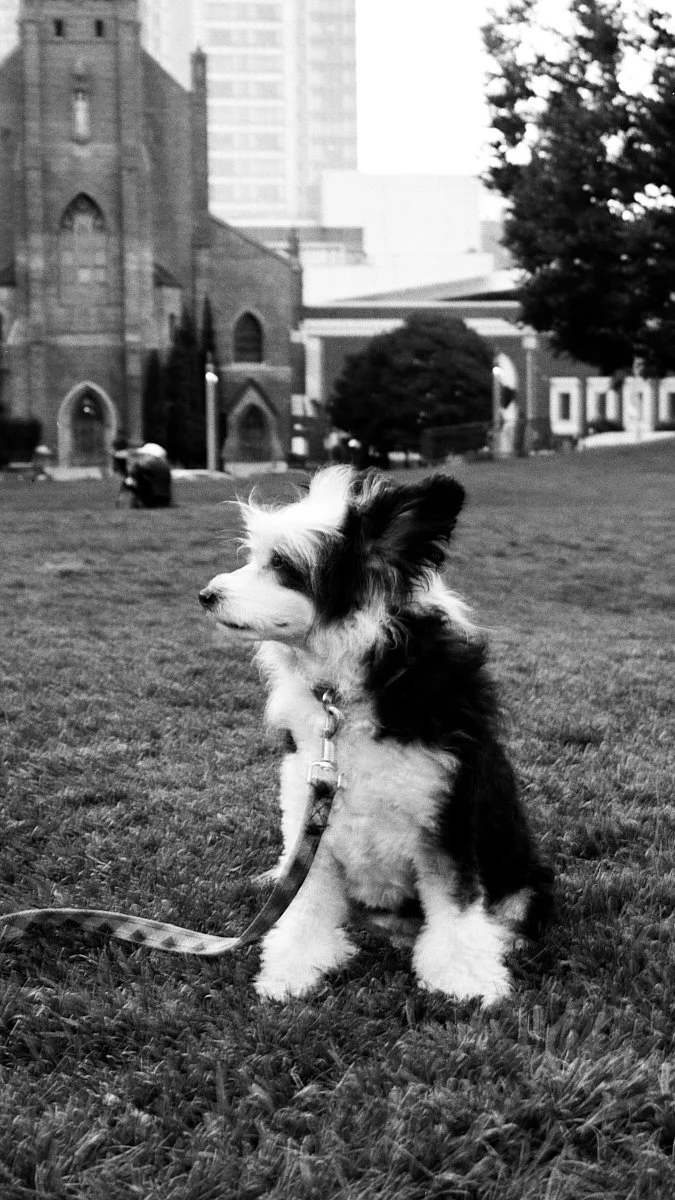 kodak_400_bw_20556_107467_242313_002432360002.jpg