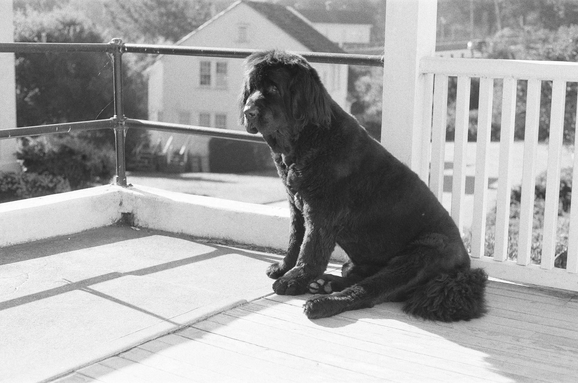 047_kentmere_400_bw_20556_147746_329822_000093500034.jpg