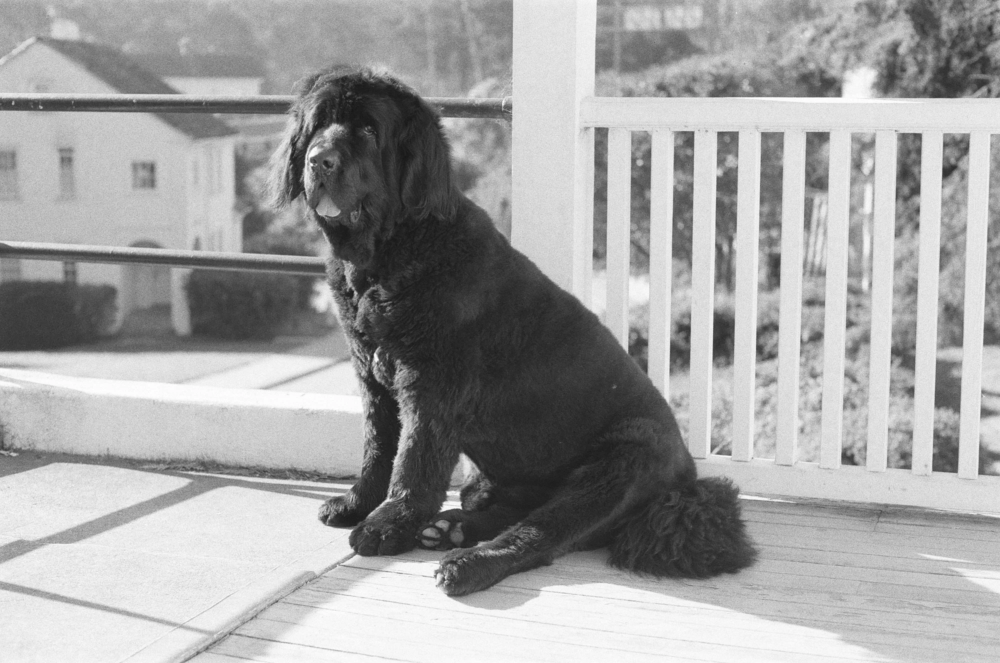 047_kentmere_400_bw_20556_147746_329822_000093500033.jpg