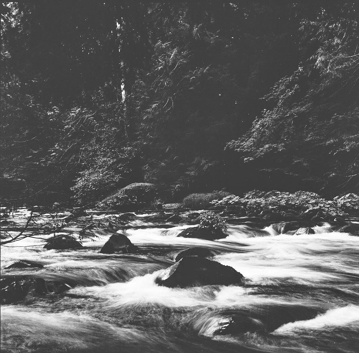rollei_retro_400s_07_29_2024_000365990007.jpg