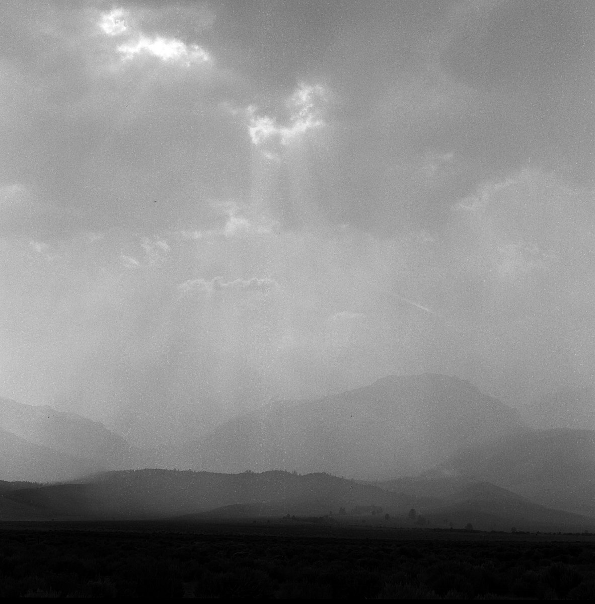 ilford_hp5_plus_07_29_2024_000115340006.jpg