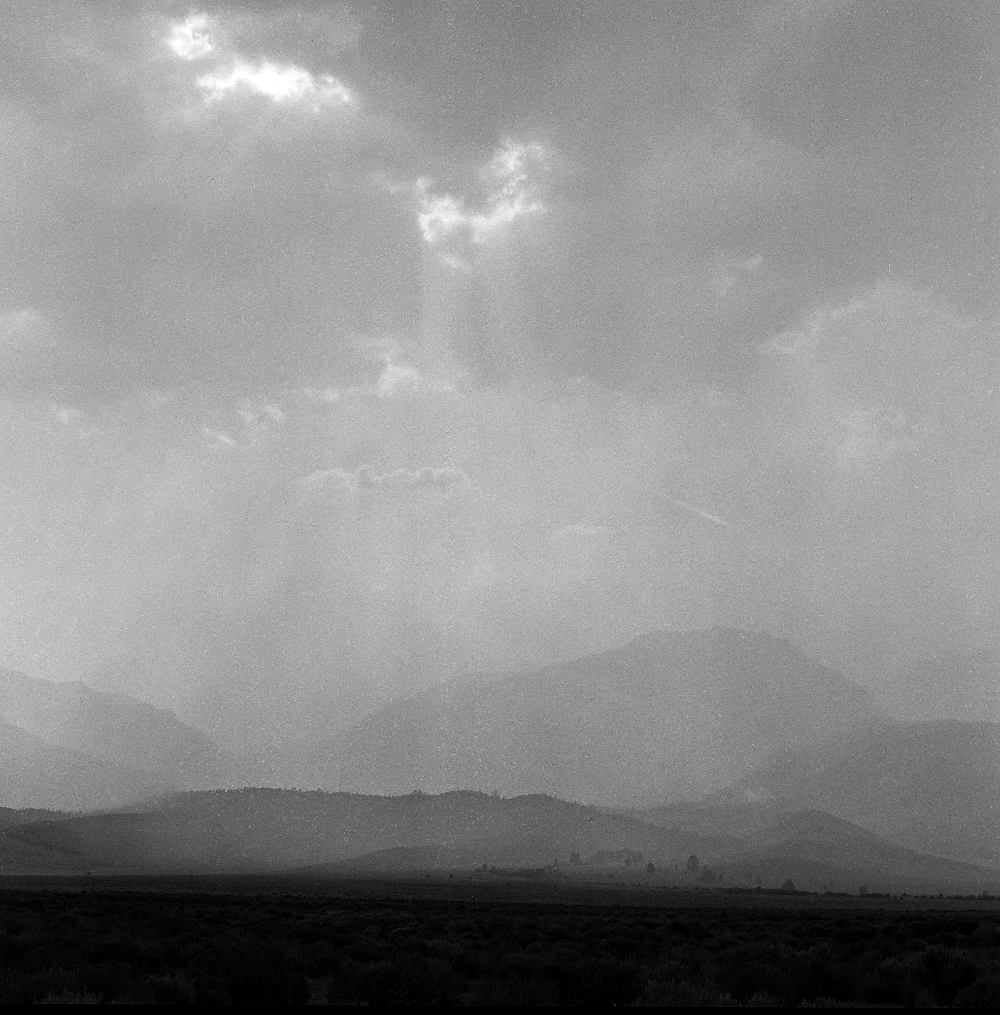 ilford_hp5_plus_07_29_2024_000115340006.jpg