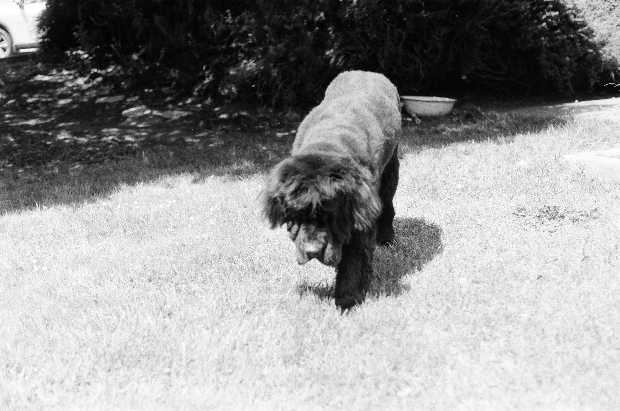 047_kentmere_400_bw_20556_147746_329822_000093500003.jpg