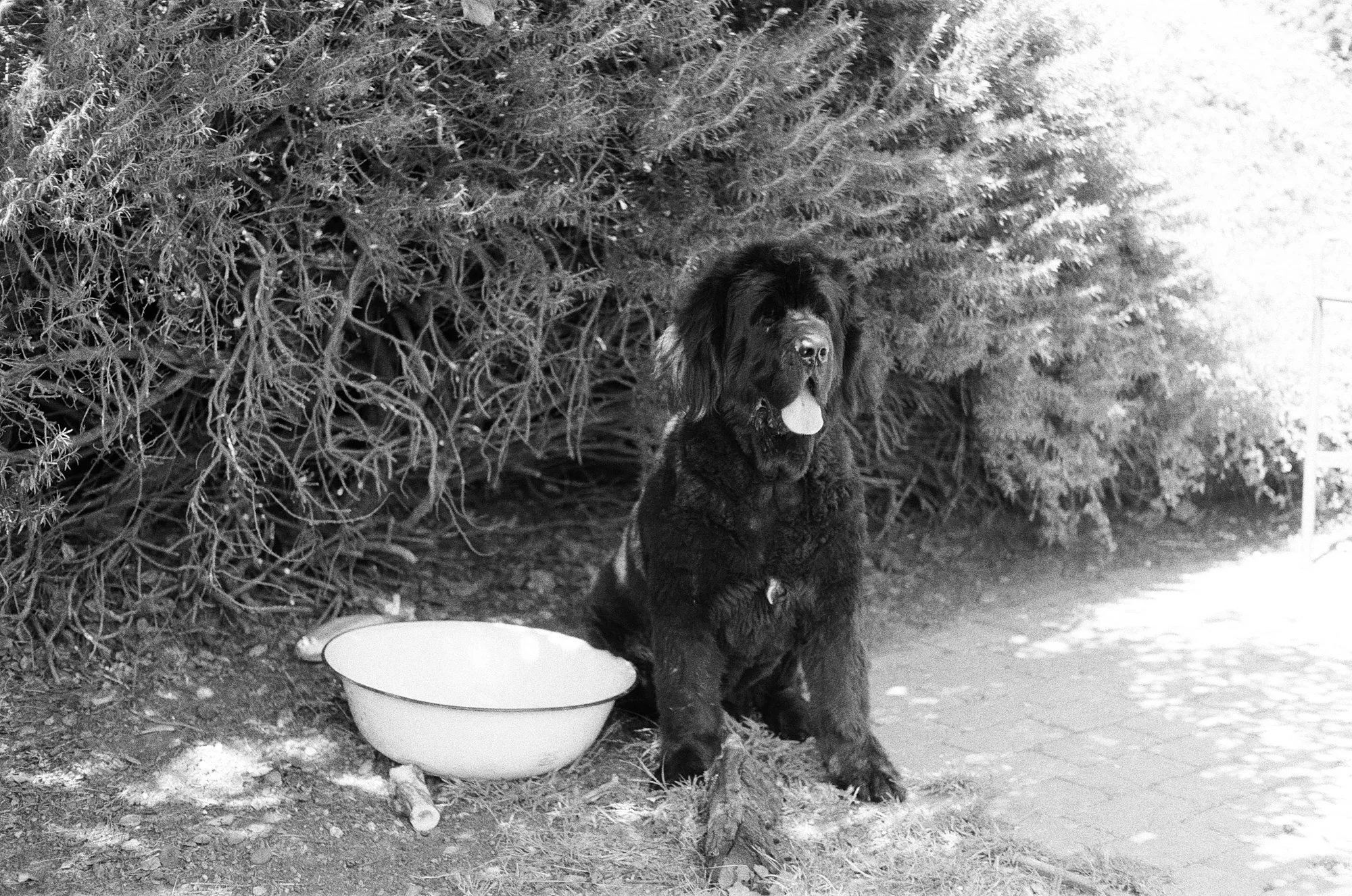 047_kentmere_400_bw_20556_147746_329822_000093500005.jpg