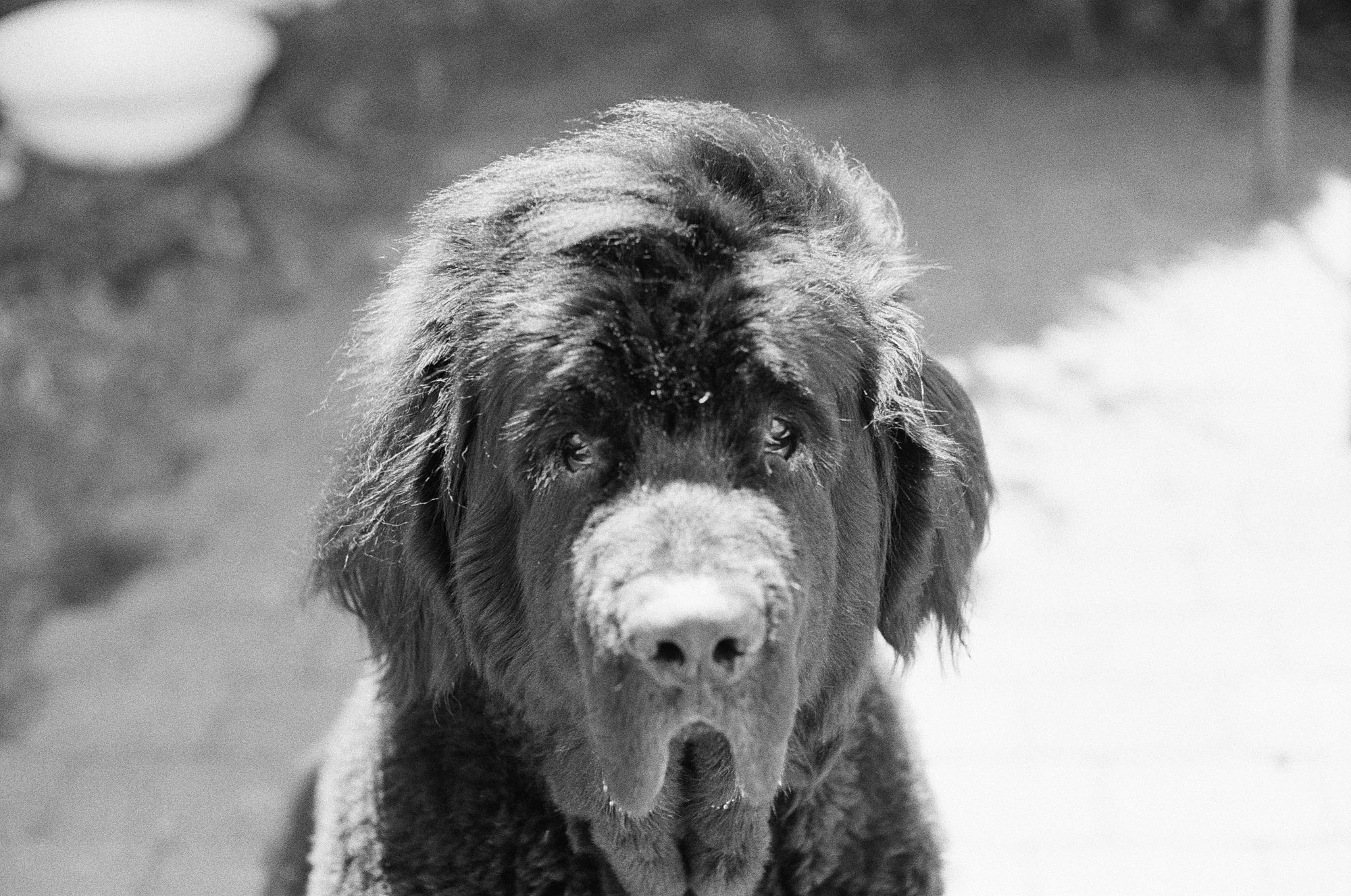 047_kodak_400_bw_20556_146677_327051_003276400005.jpg