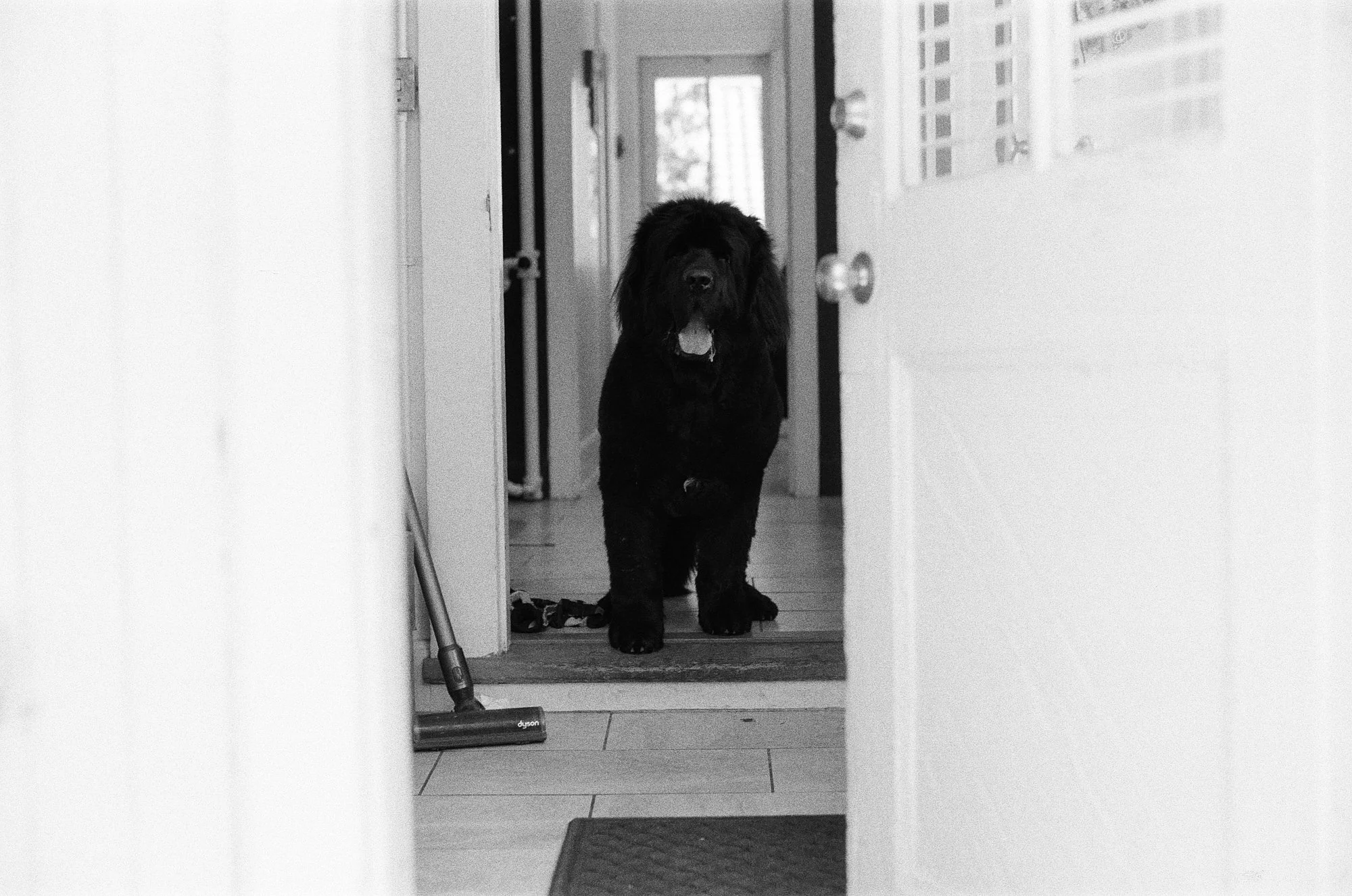 047_kentmere_400_bw_20556_147746_329822_000093500006.jpg