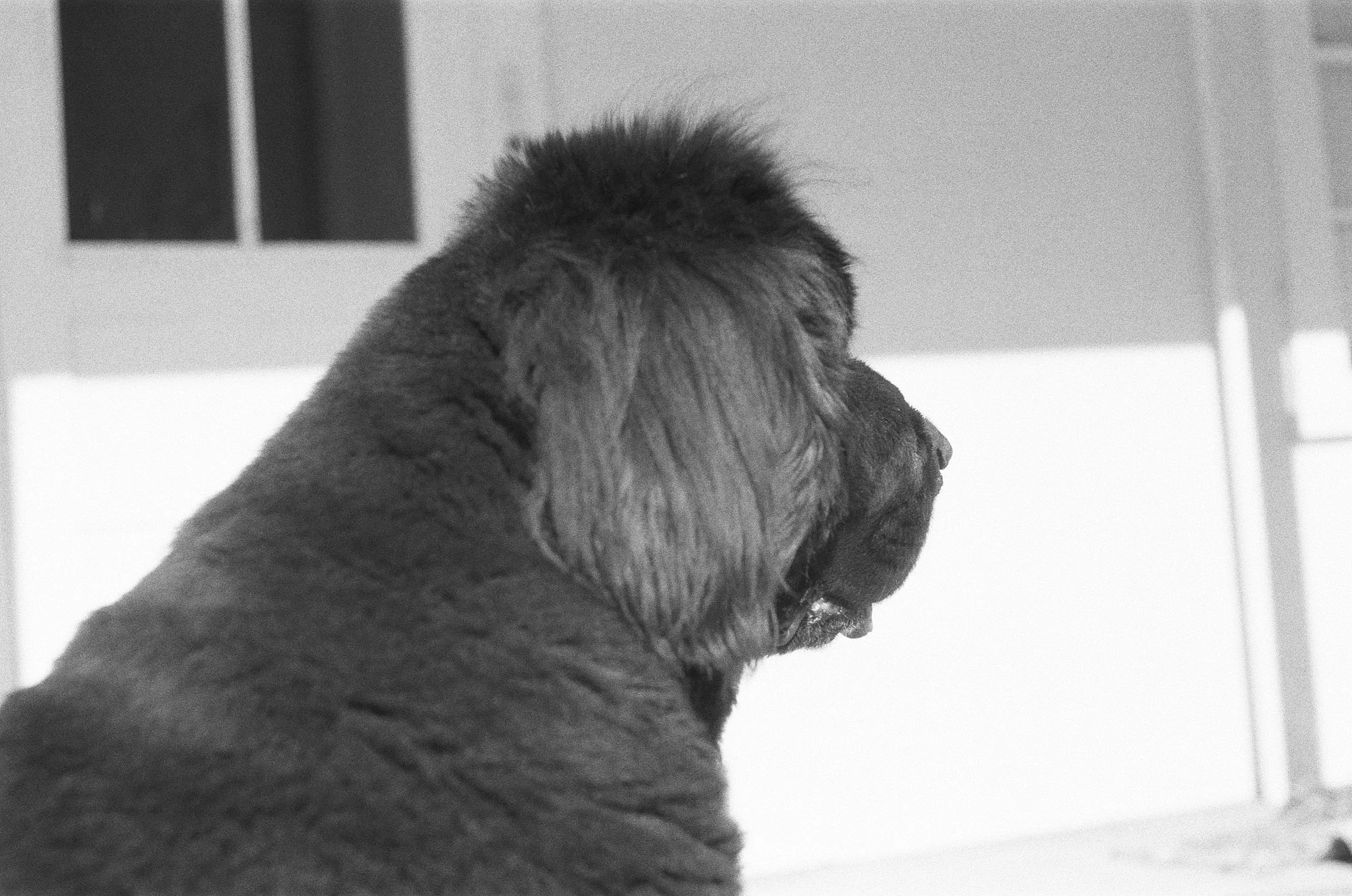 047_kentmere_400_bw_20556_147746_329822_000093500023.jpg