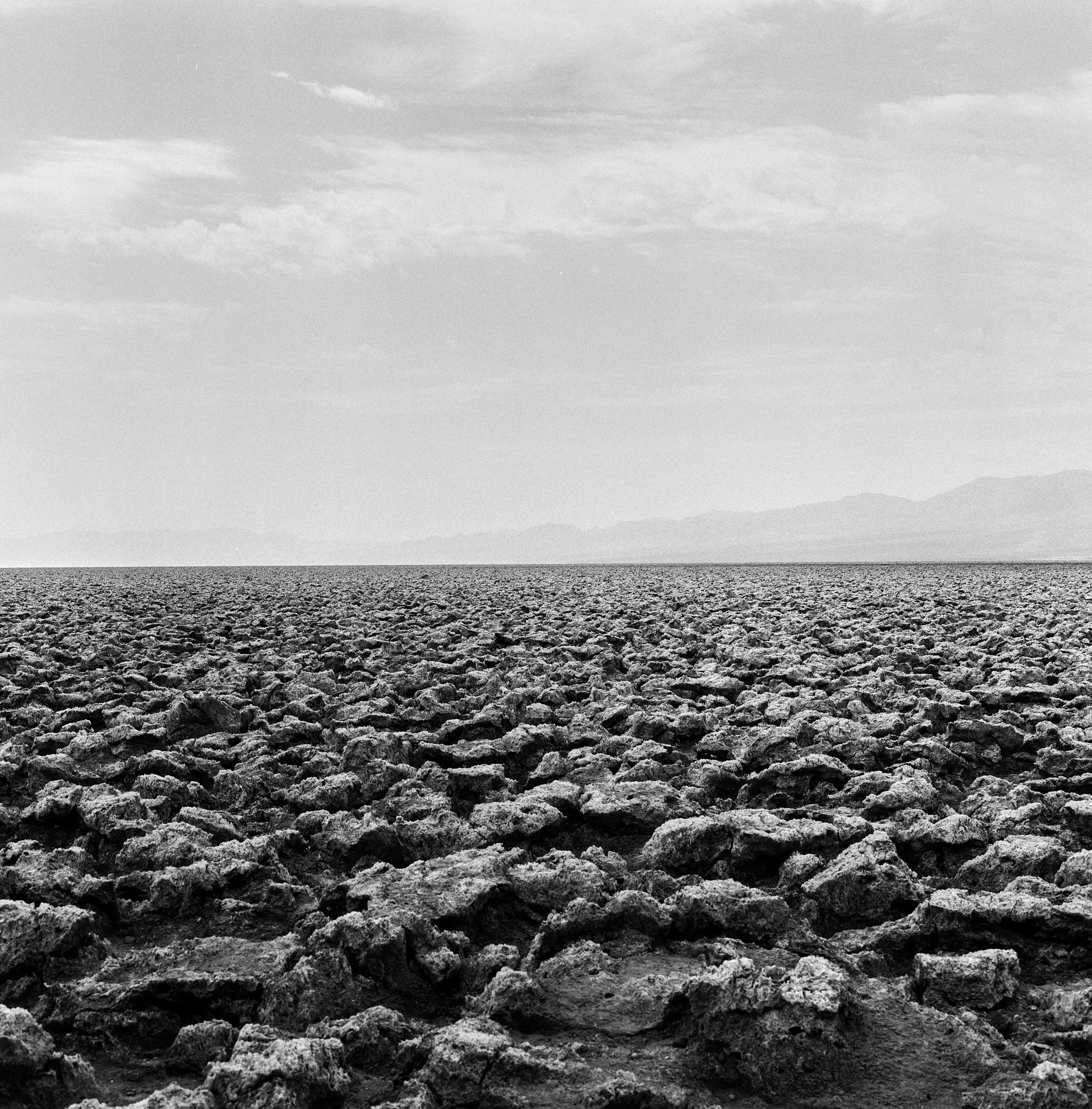 ilford_hp5_plus_07_29_2024_000115280004.jpg