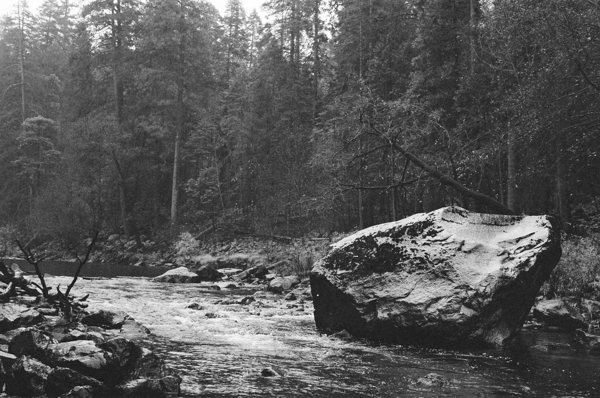 ilford_delta_400_professional_11_21_2024_000186280003.jpg