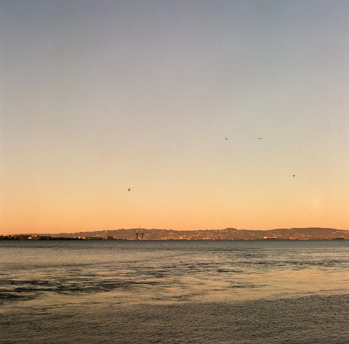 kodak_400_c_41_20556_111792_252806_000008680012.jpg
