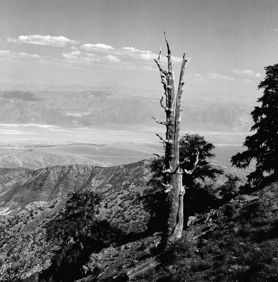 rollei_retro_400s_07_29_2024_000365970007.jpg