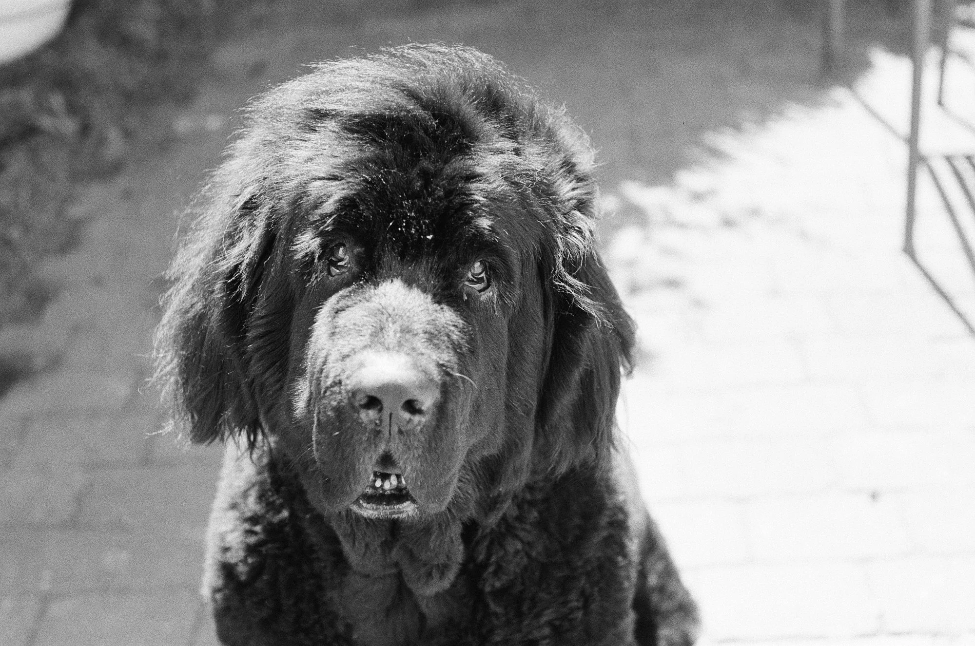 047_kodak_400_bw_20556_146677_327051_003276400002.jpg