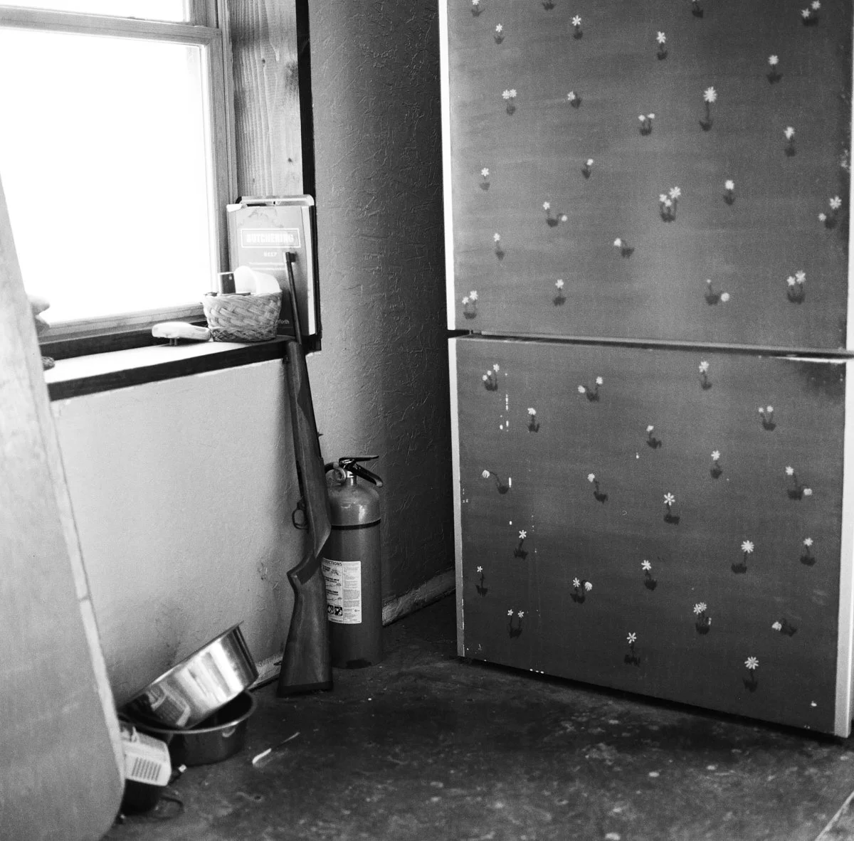 ilford_fp4_plus_07_29_2024_000106510004.jpg
