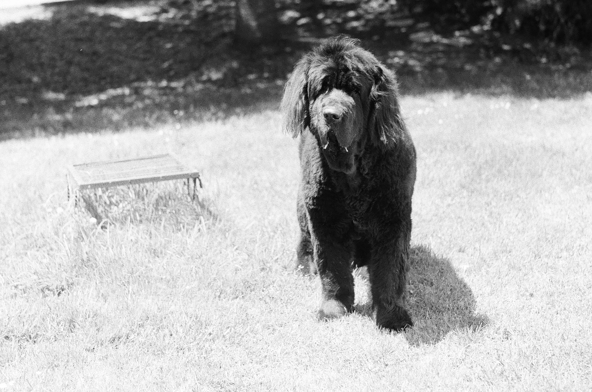 047_kentmere_400_bw_20556_147746_329822_000093500002.jpg