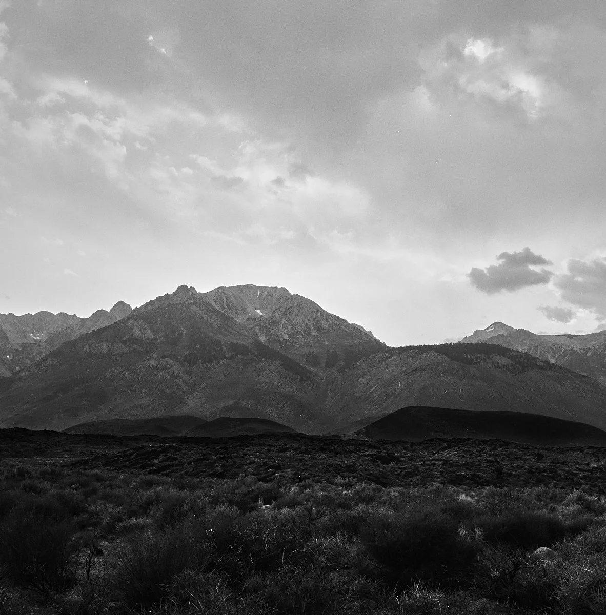 ilford_hp5_plus_07_29_2024_000115300002.jpg