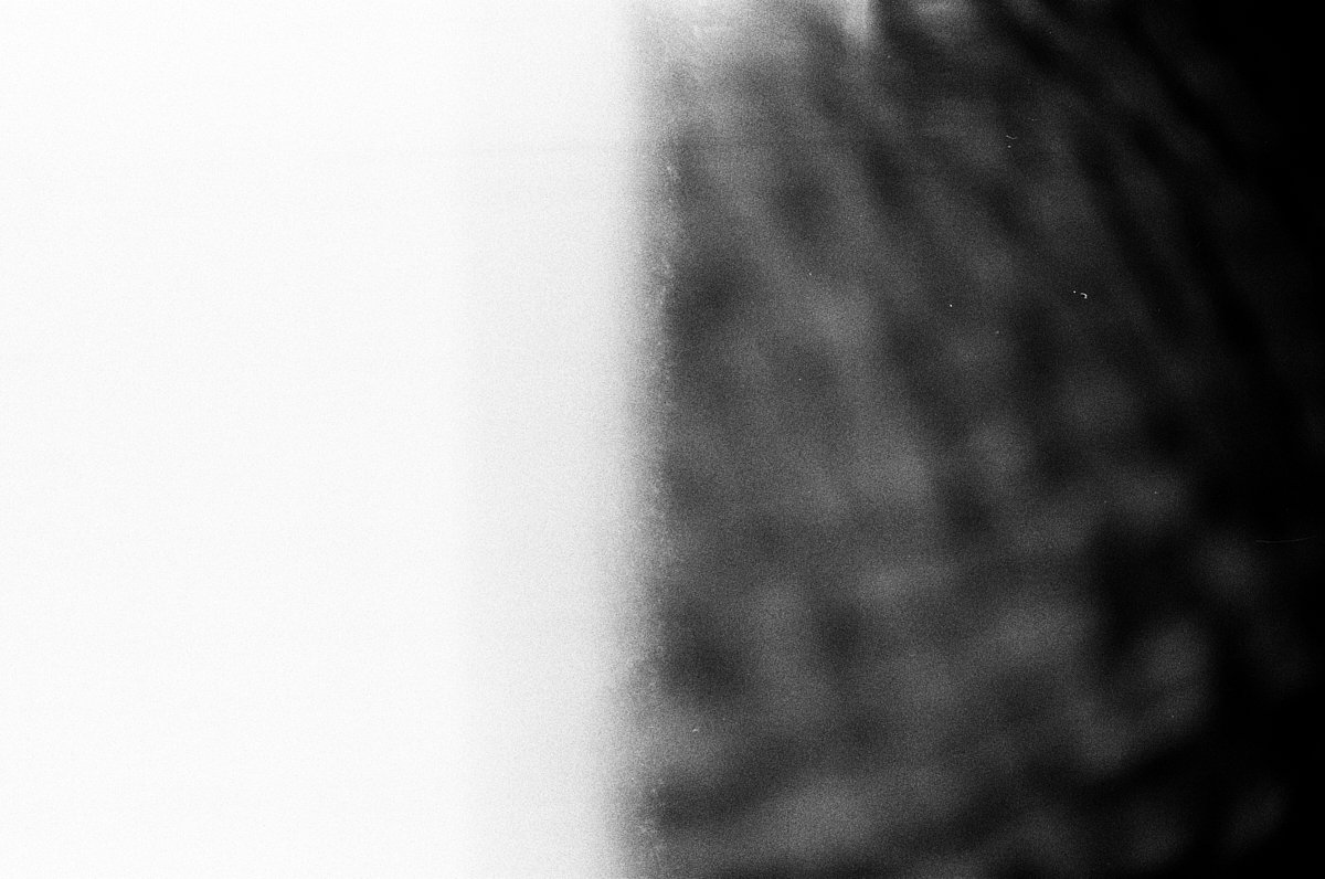 03 Koan cinestill_bwxx_06_20_2024_000324130001.jpg