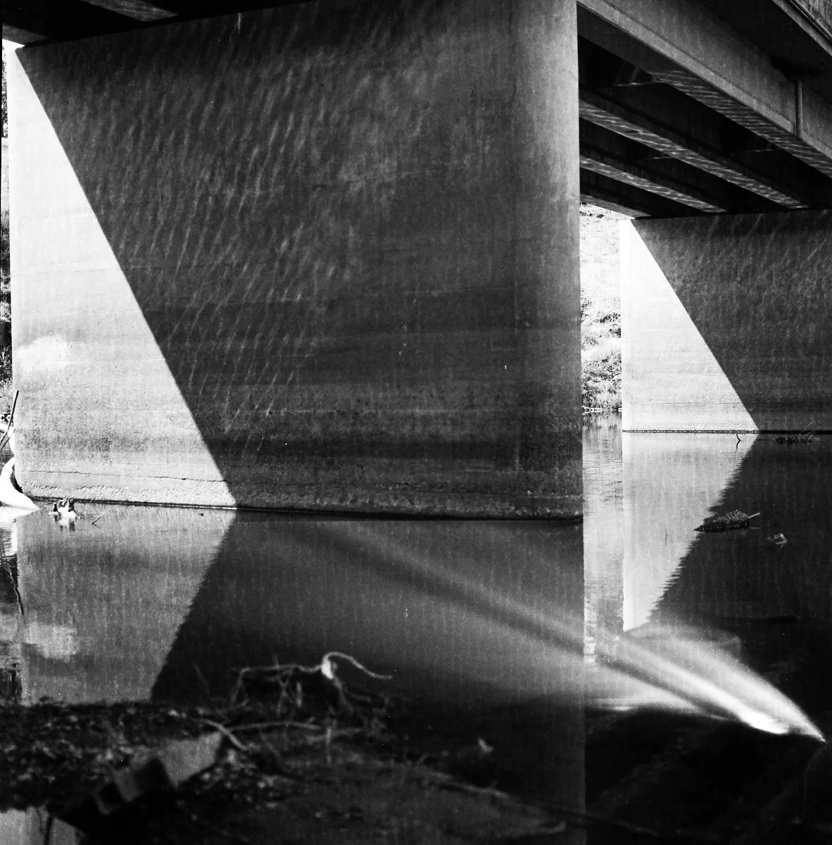 ilford_fp4_plus_07_29_2024_000115270005.jpg