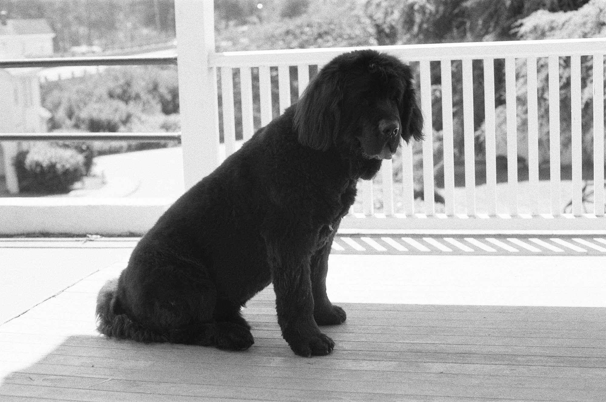 047_kentmere_400_bw_20556_147746_329822_000093500010.jpg
