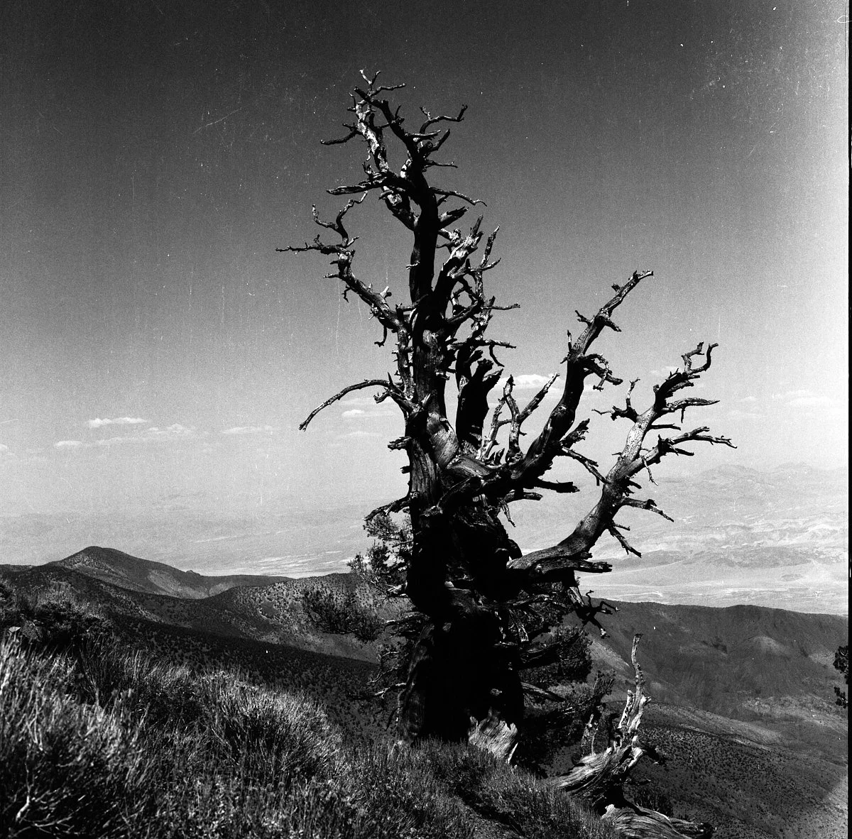 rollei_retro_400s_07_29_2024_000365970012.jpg