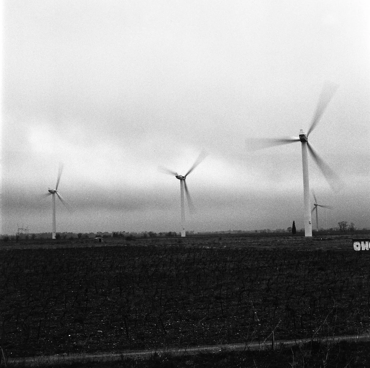 some_bw_roll_07_29_2024_000115490009.jpg