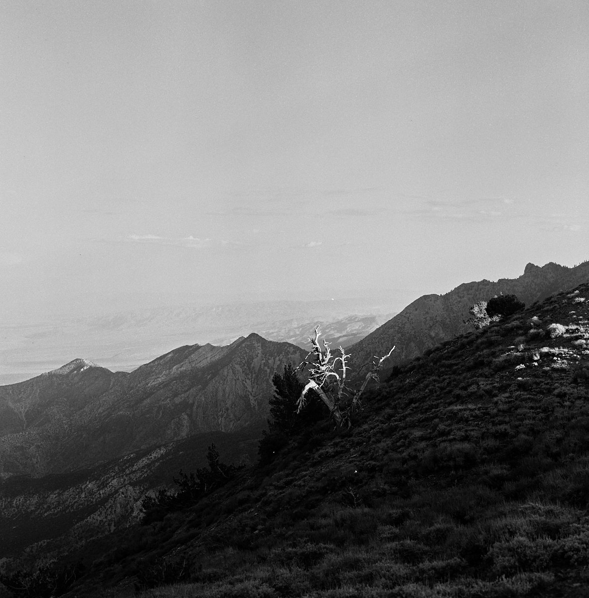 ilford_hp5_plus_07_29_2024_000115320005.jpg