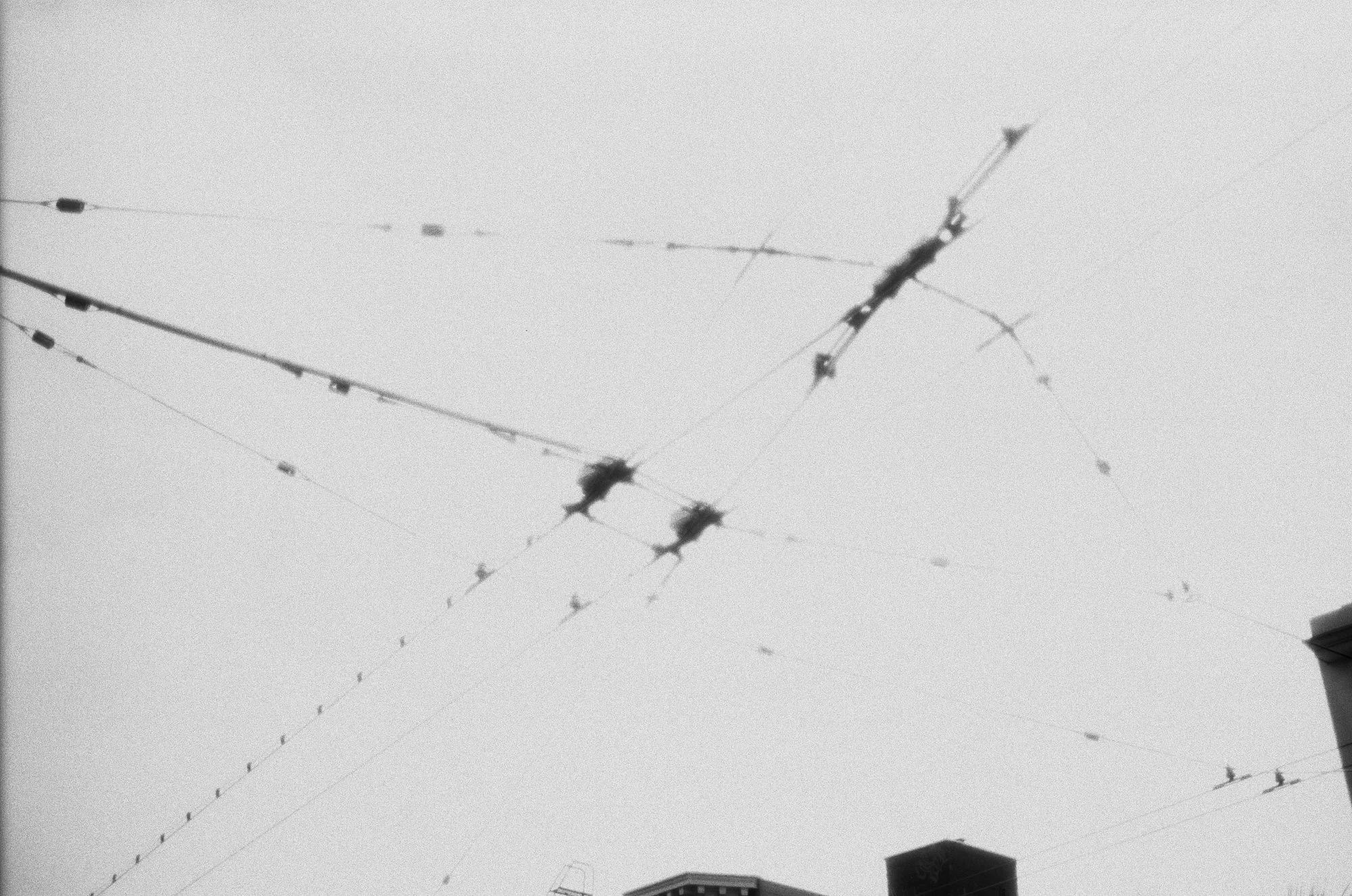 svema_3_bw_20250804 Order 12 Rolls_20556_99998_223463_000009200005.jpg