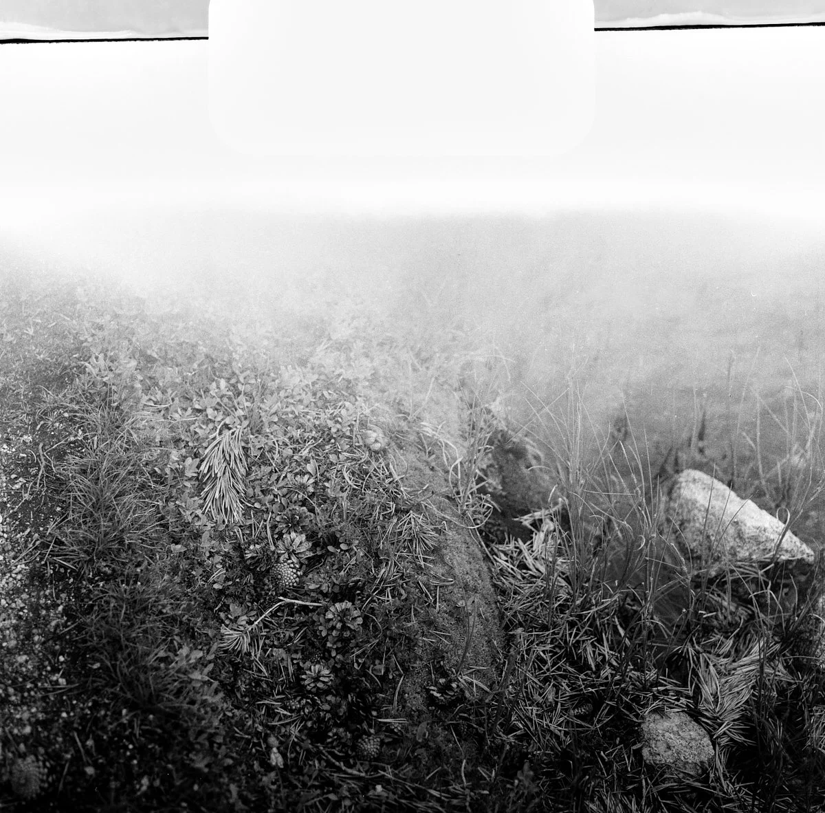 rollei_retro_400s_07_29_2024_000365960001.jpg