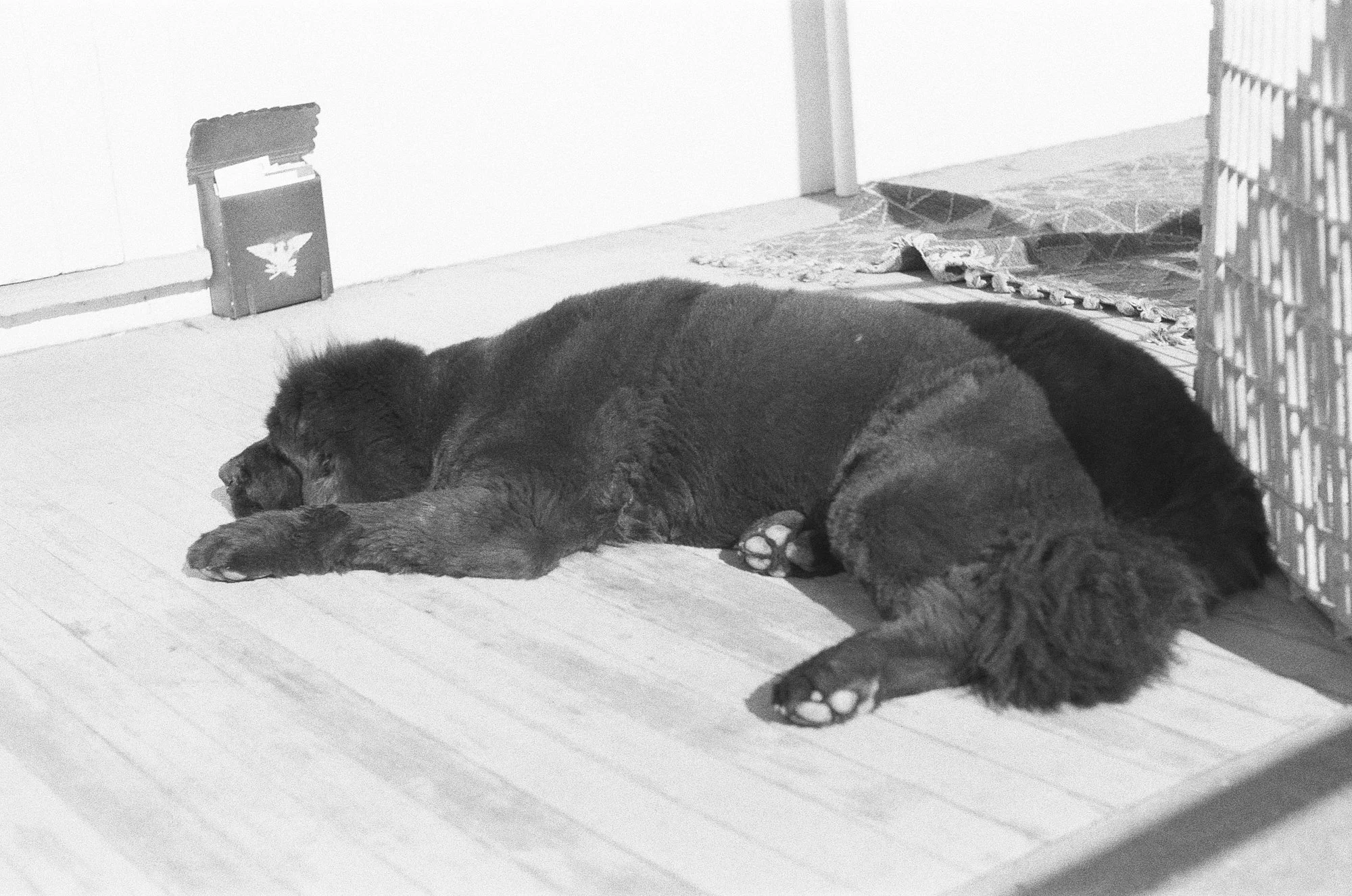047_kentmere_400_bw_20556_147746_329822_000093500024.jpg