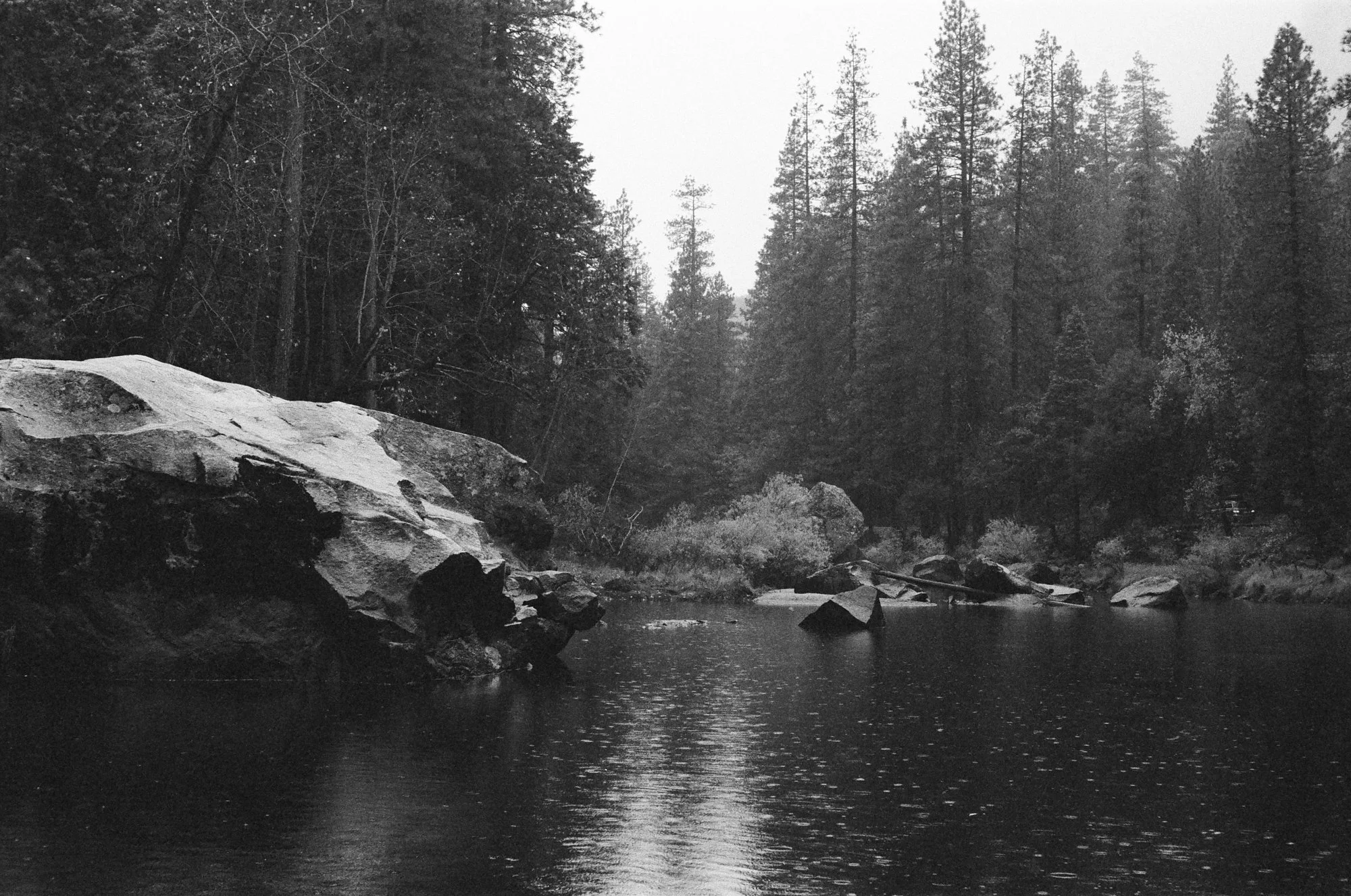 ilford_delta_400_professional_11_21_2024_000186280007.jpg
