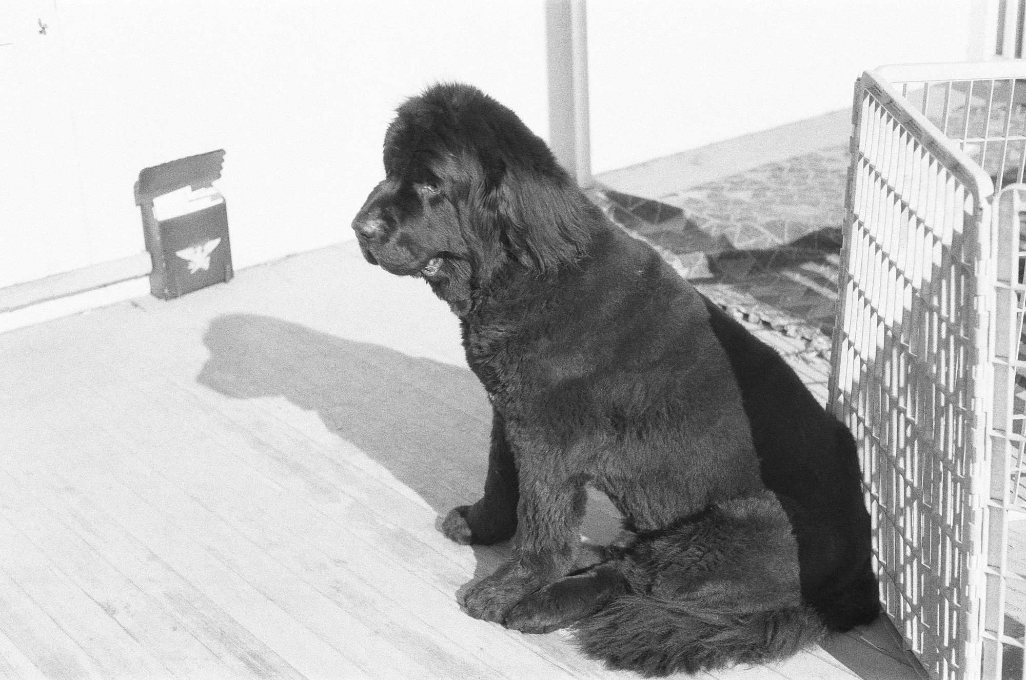 047_kentmere_400_bw_20556_147746_329822_000093500029.jpg