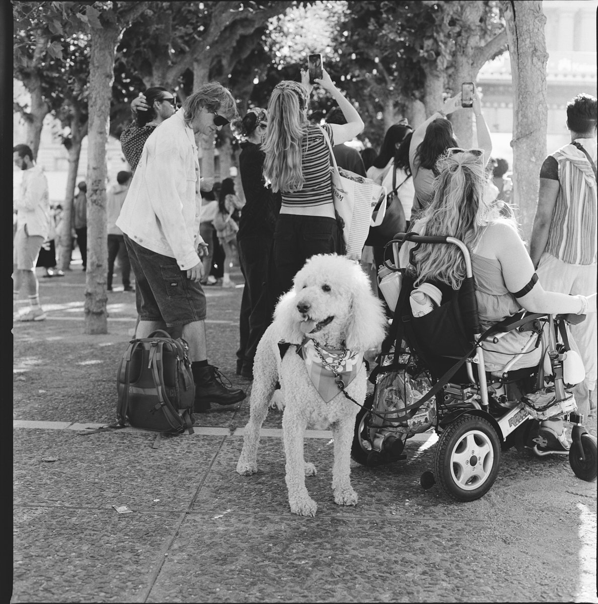 some_400_bw_20556_139062_310316_000012480009.jpg