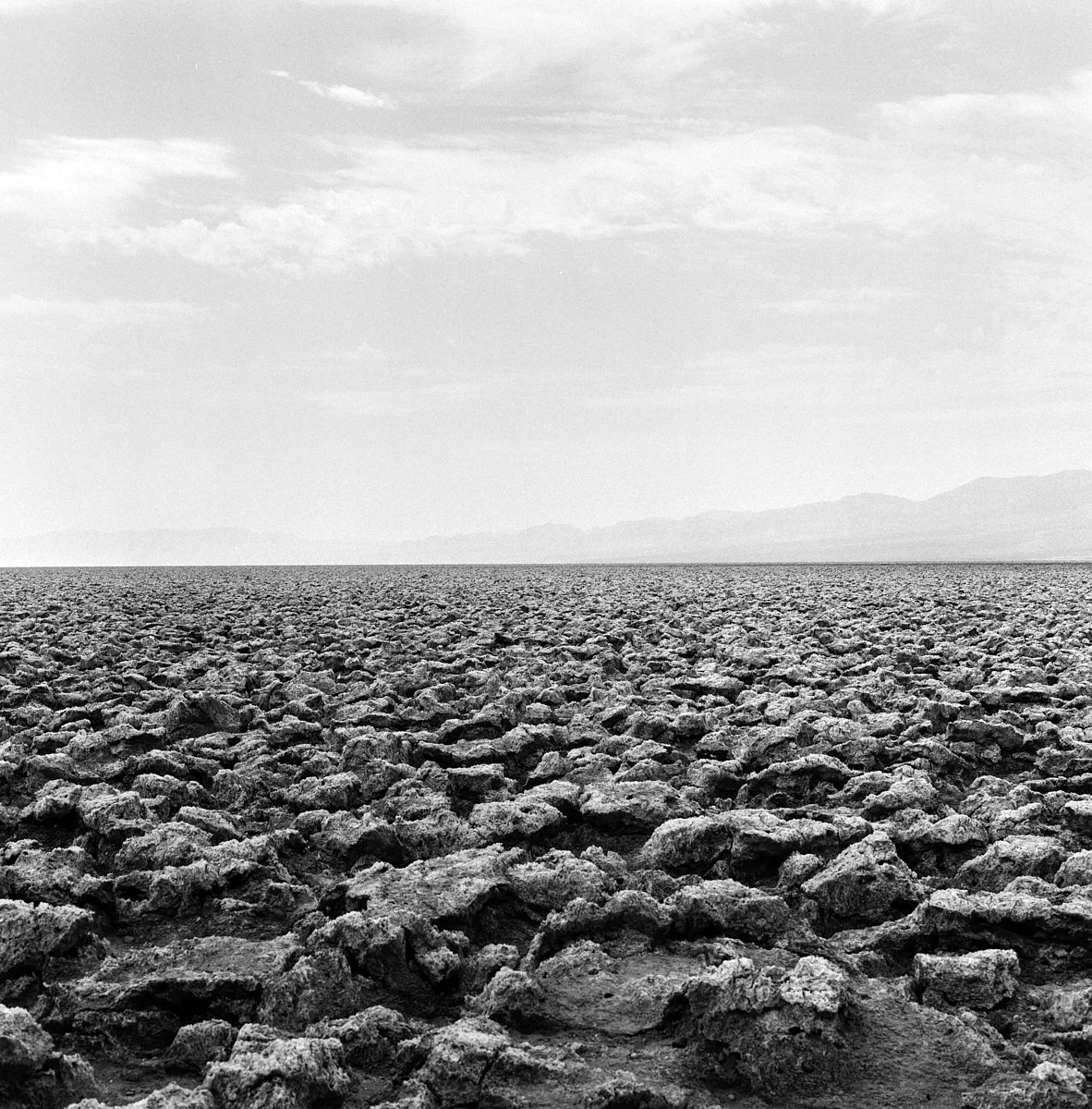 ilford_hp5_plus_07_29_2024_000115280004.jpg