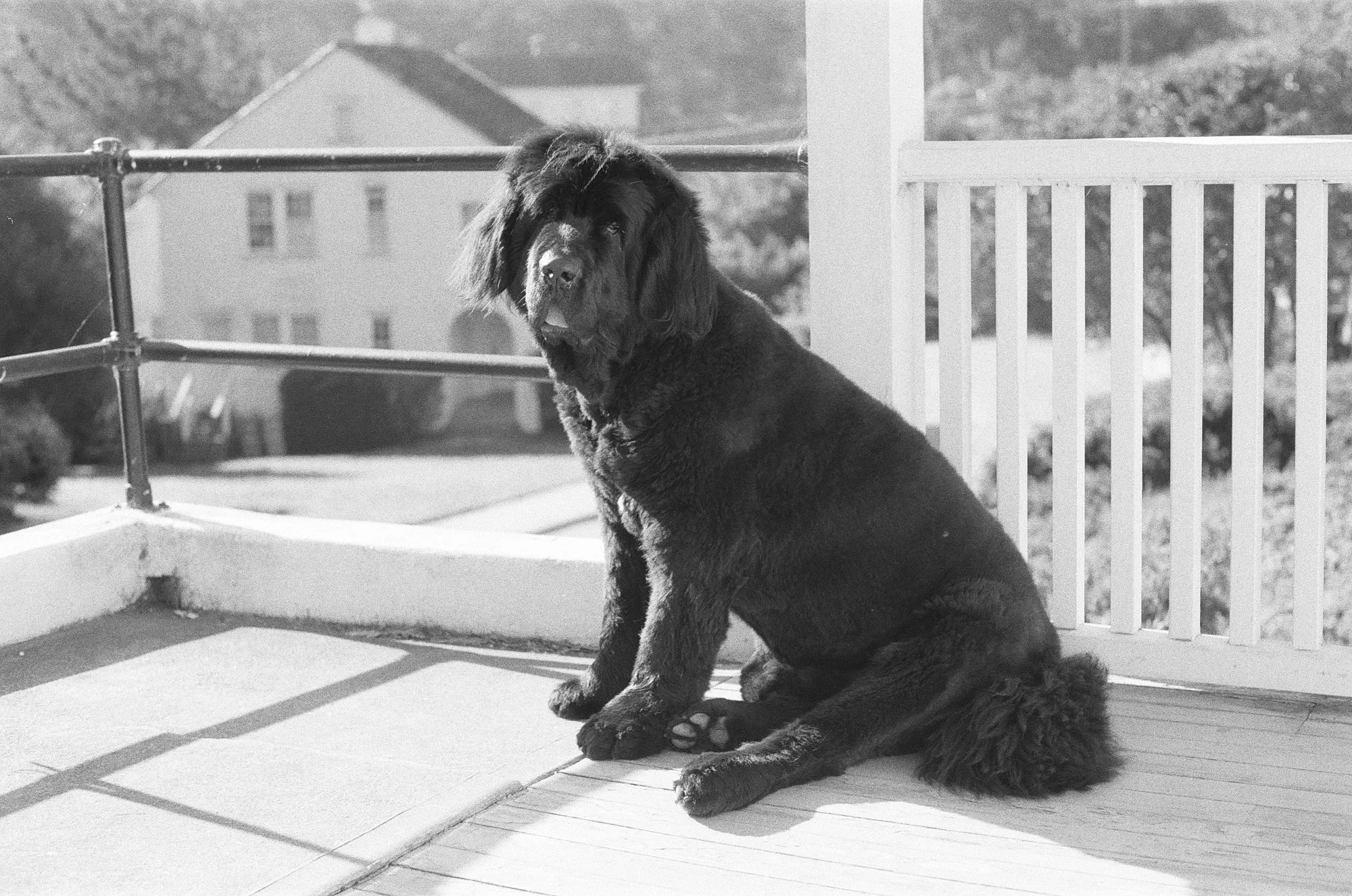 047_kentmere_400_bw_20556_147746_329822_000093500038.jpg