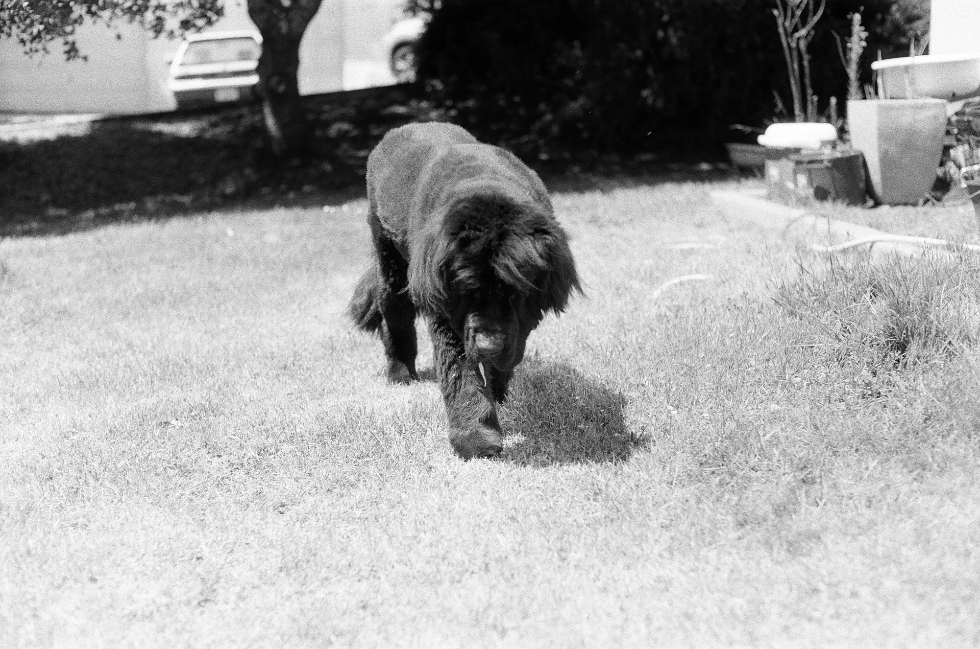 047_kentmere_400_bw_20556_147746_329822_000093500001.jpg