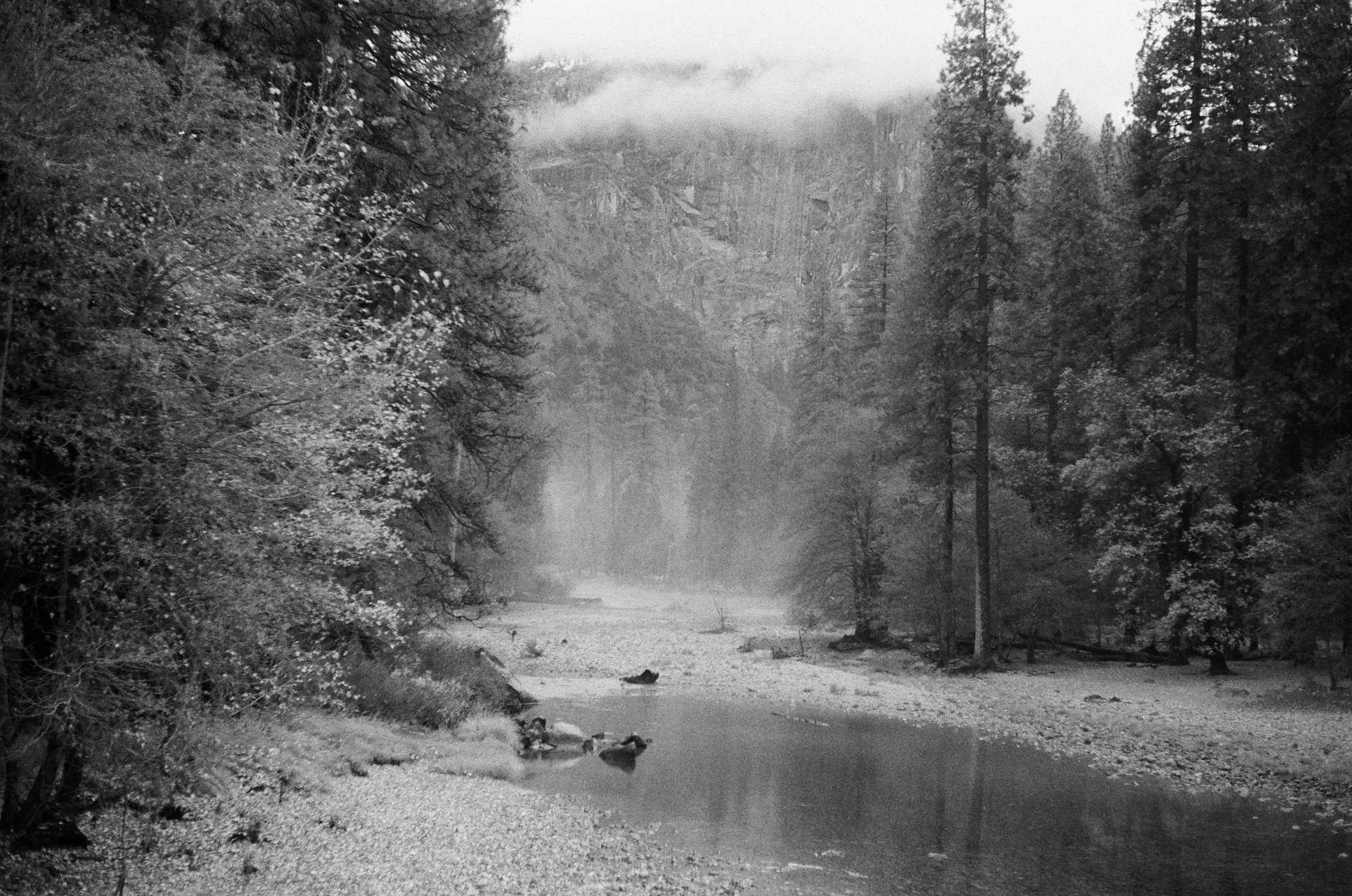 ilford_delta_400_professional_11_21_2024_000331410032.jpg
