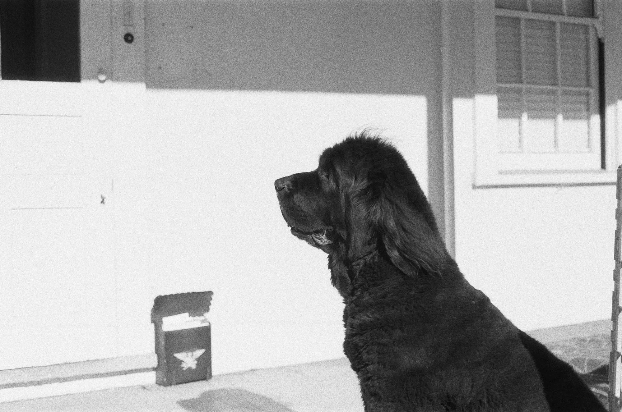 047_kentmere_400_bw_20556_147746_329822_000093500026.jpg