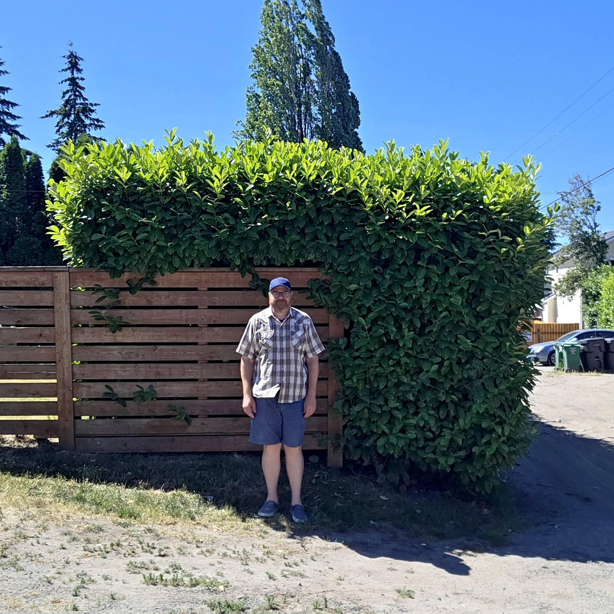 Andrew standing in front of some VERY  WIDE hedges behind his house