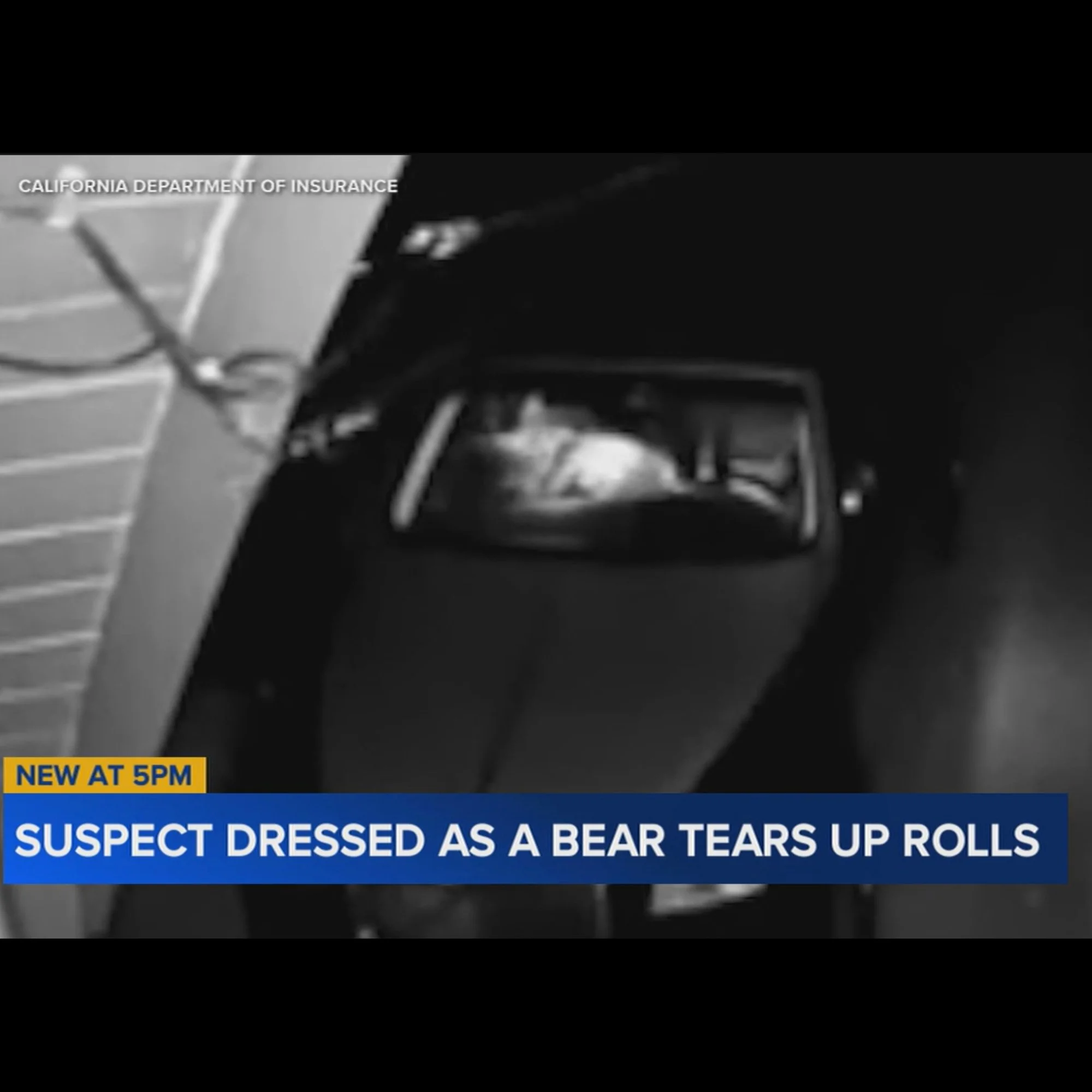 Grainy security footage of a car with some animal inside. It's actually a human dressed as a bear, although you can't tell what's in the car. News chyron says SUSPECT DRESSED AS BEAR TEARS UP ROLLS