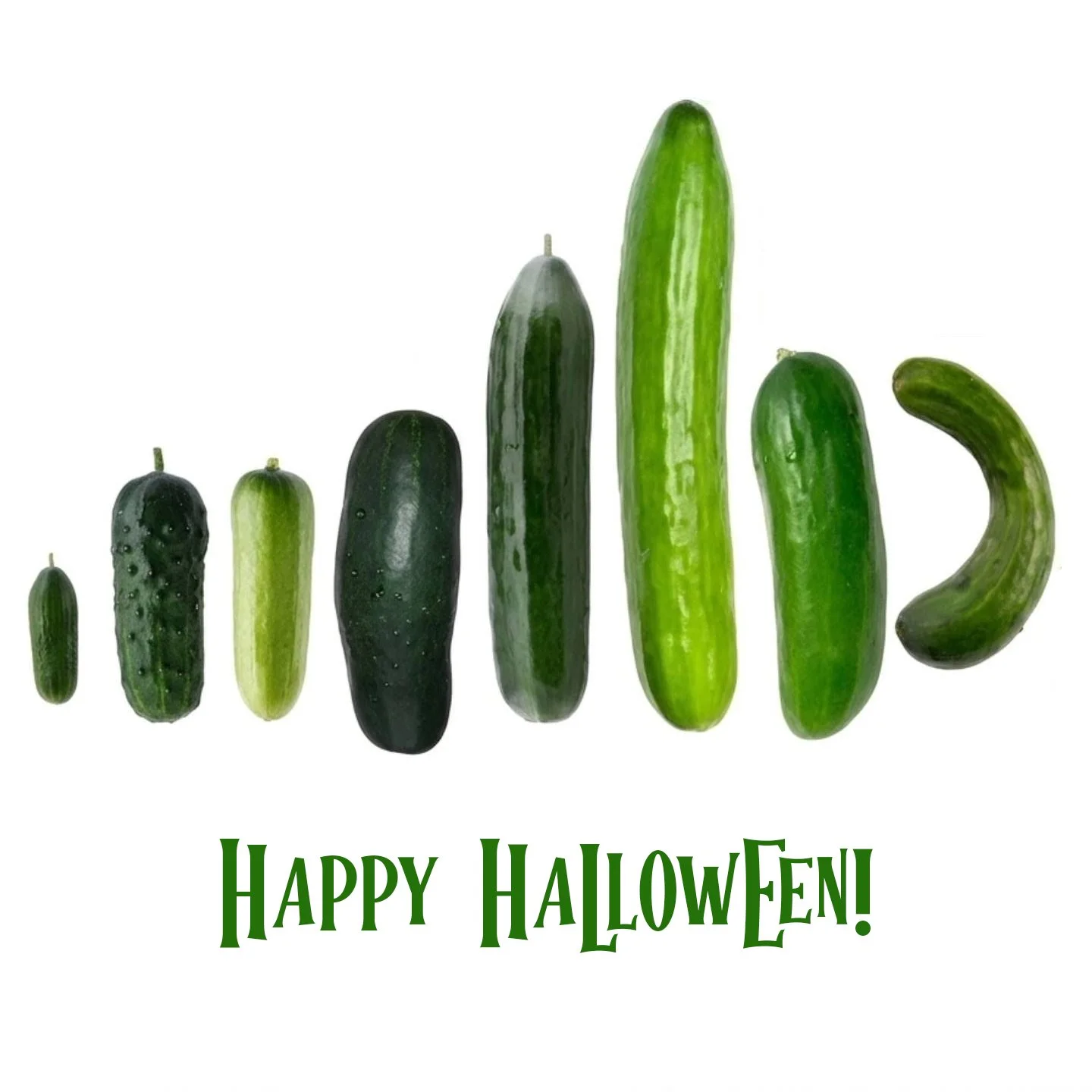 Image of a bunch of different kinds/sizes of cumbers on a plain white background with text that says Happy Halloween
